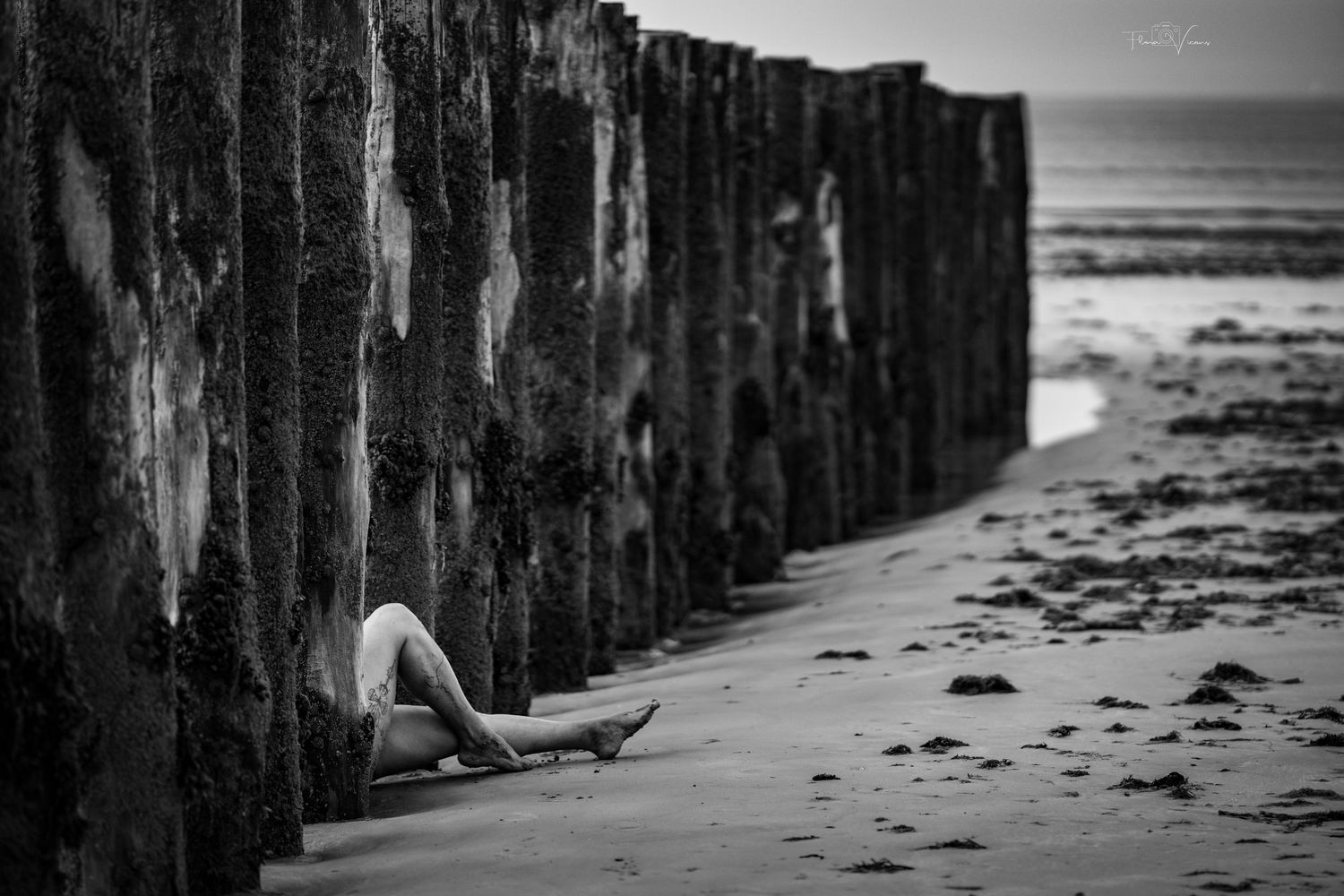 Black and white photo of a person sitting against weathered wooden beach groynes on a sandy shore with calm sea.