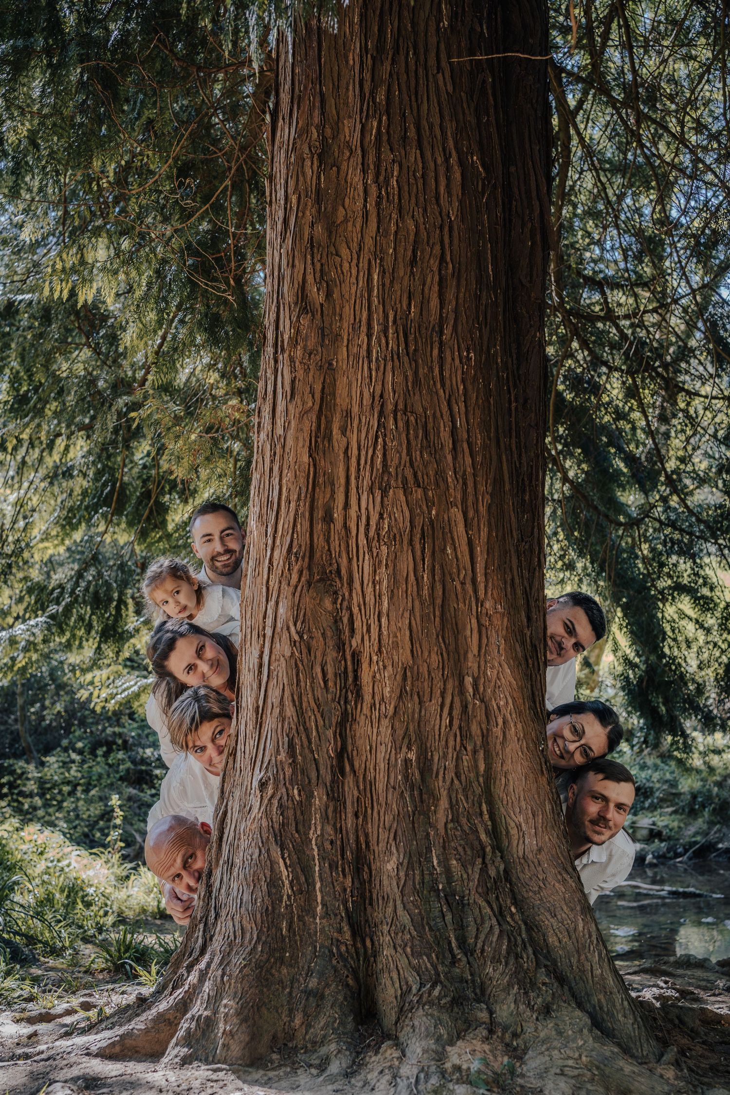 Playful group photos taken around a massive redwood tree trunk.