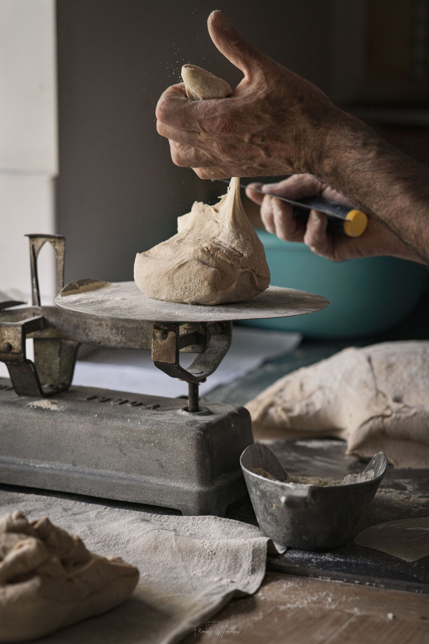Close-up of hands working with bread dough on a floured stainless steel surface.