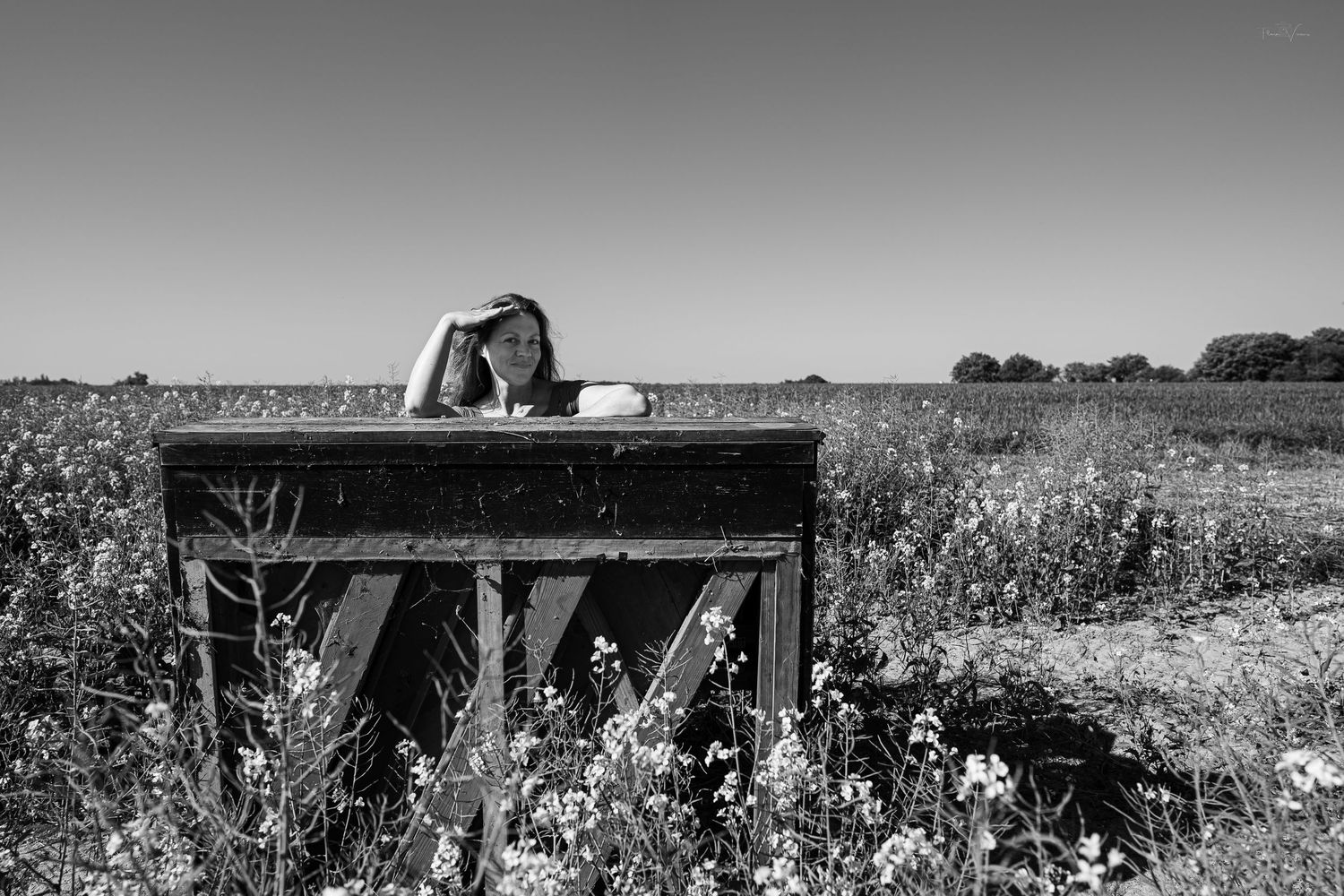 Black and white landscape photograph of a wooden structure in a wildflower field.