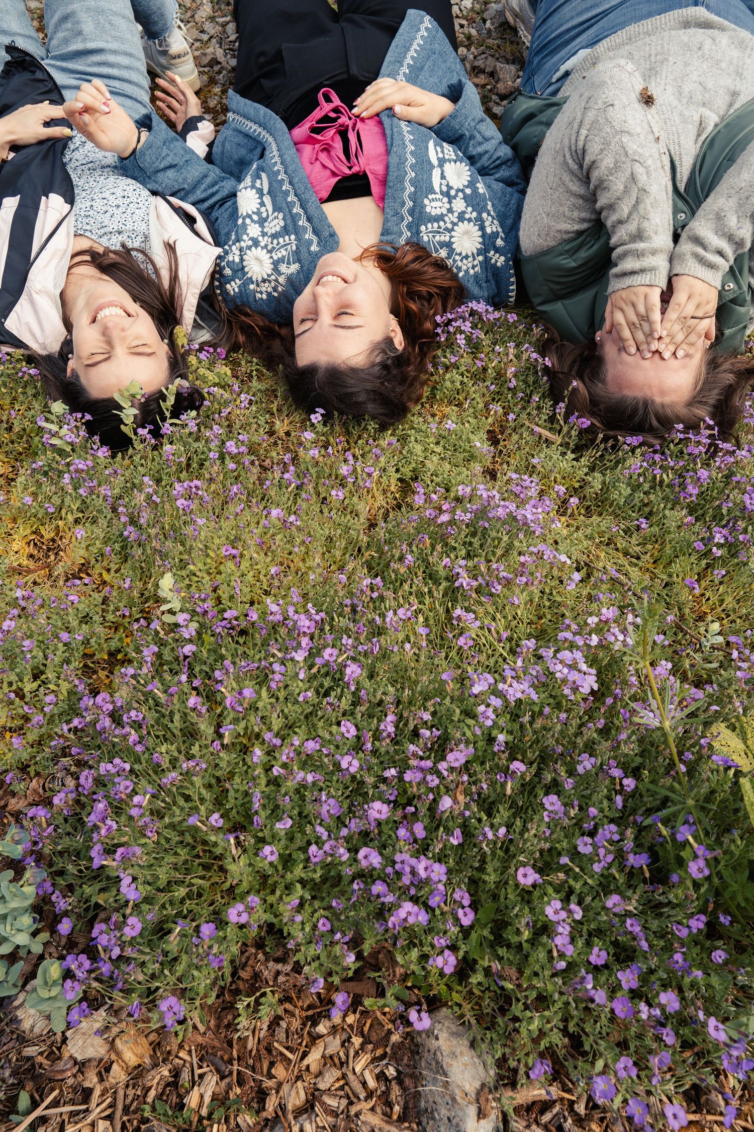 People lying in a field of purple wildflowers wearing casual clothing.