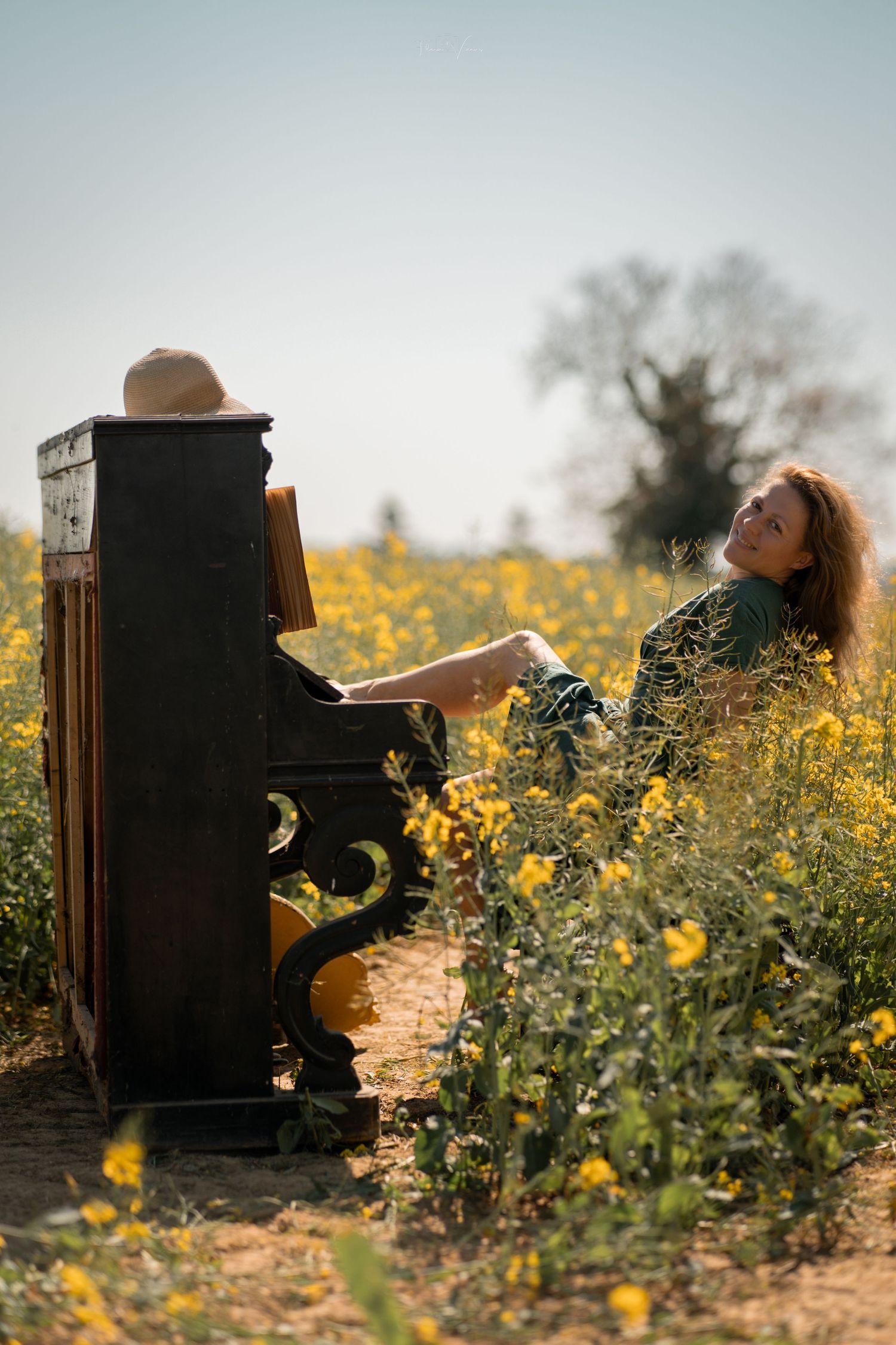 Vintage upright piano surrounded by blooming yellow wildflowers in a golden field at sunset.