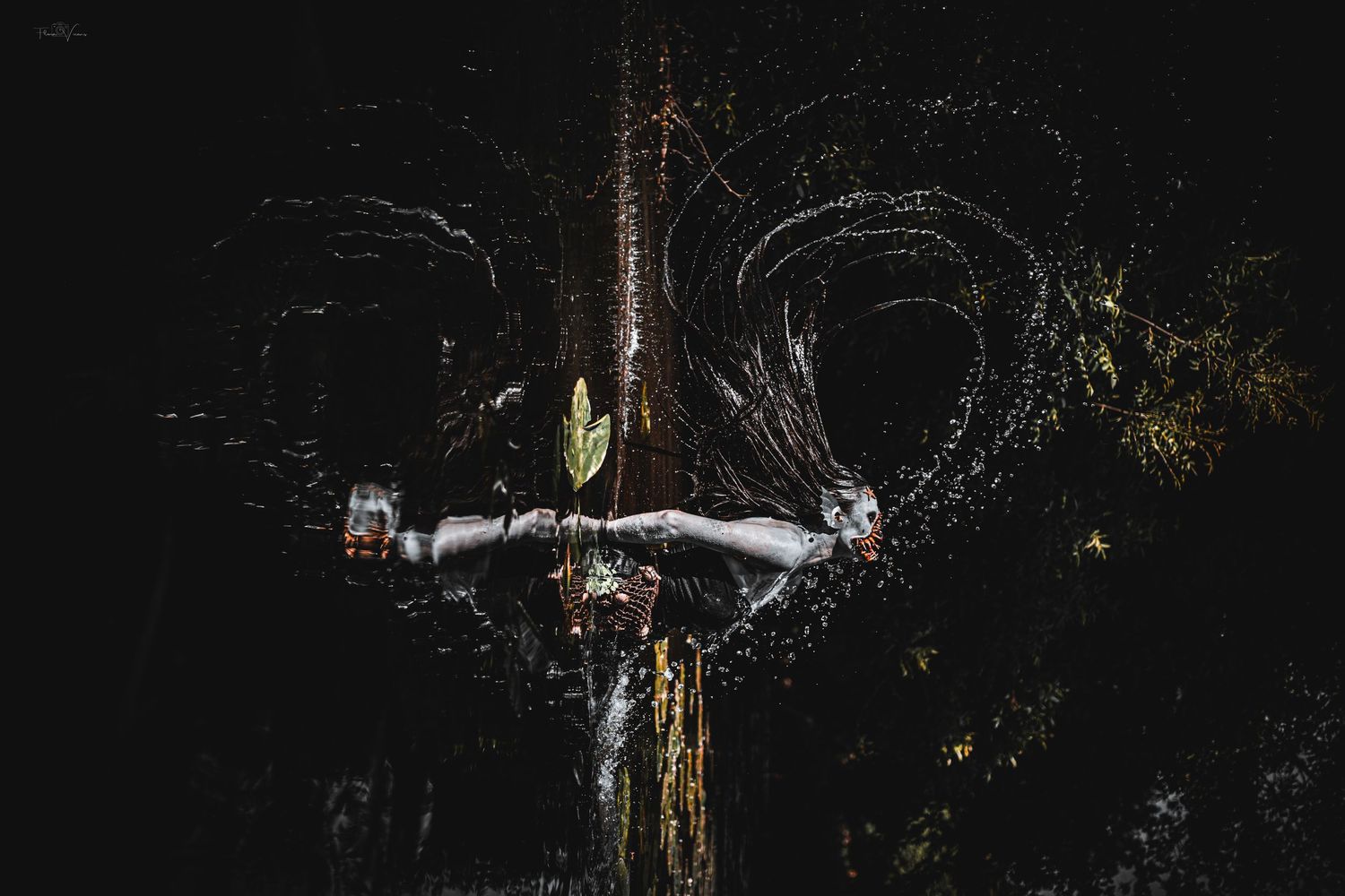 Dark abstract image showing silhouettes of tree branches against a black background.
