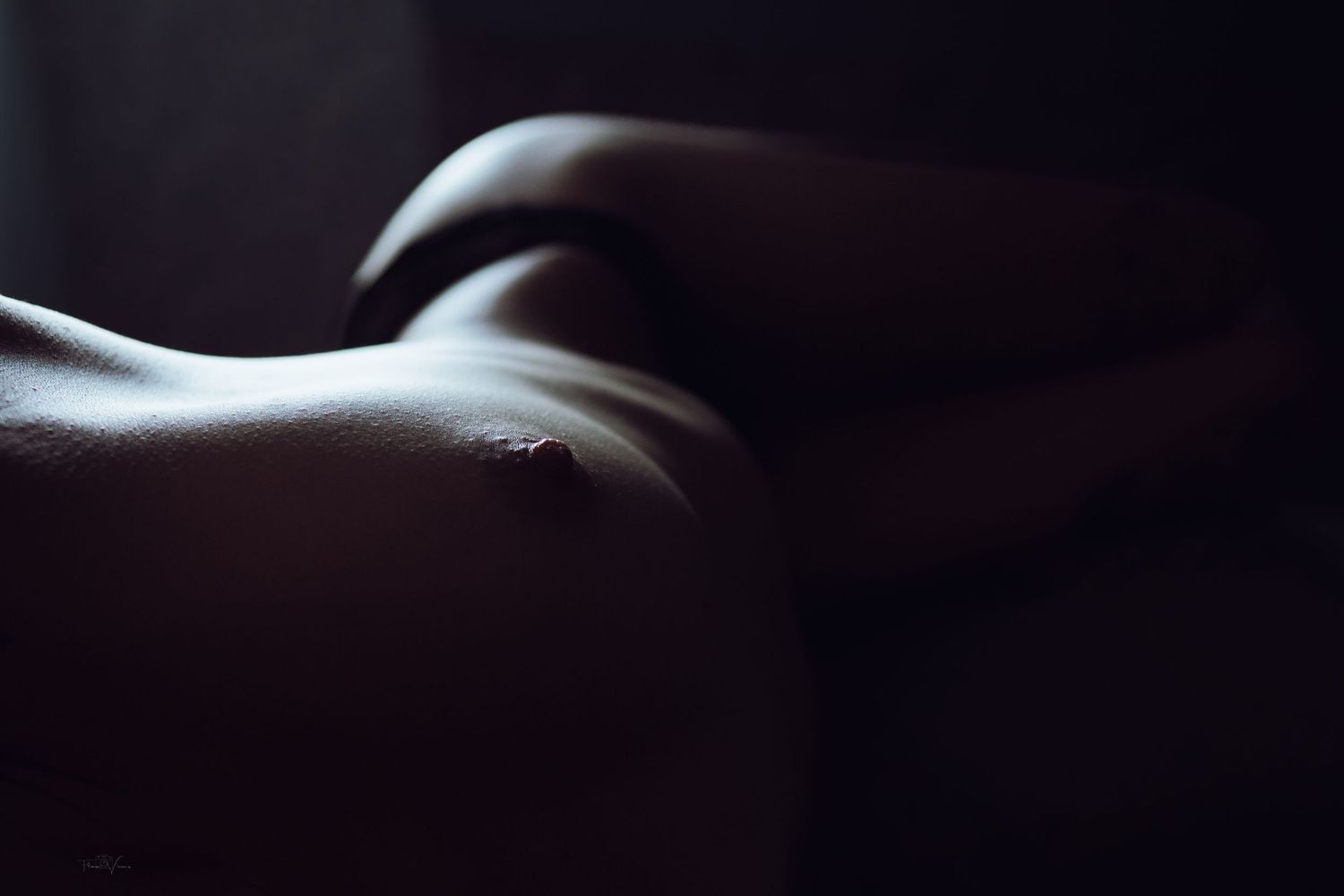 Abstract dark artistic nude study focusing on shadows and curves.