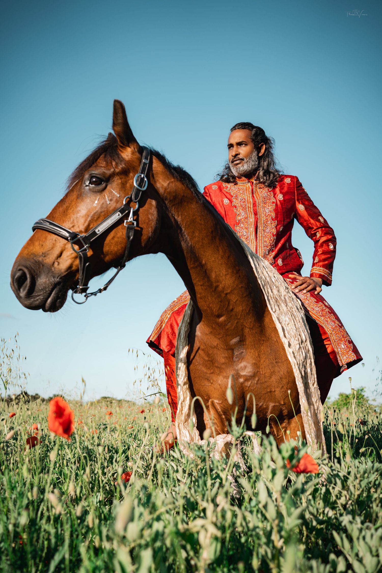 Brown horse in field with rider wearing red jacket against blue sky.