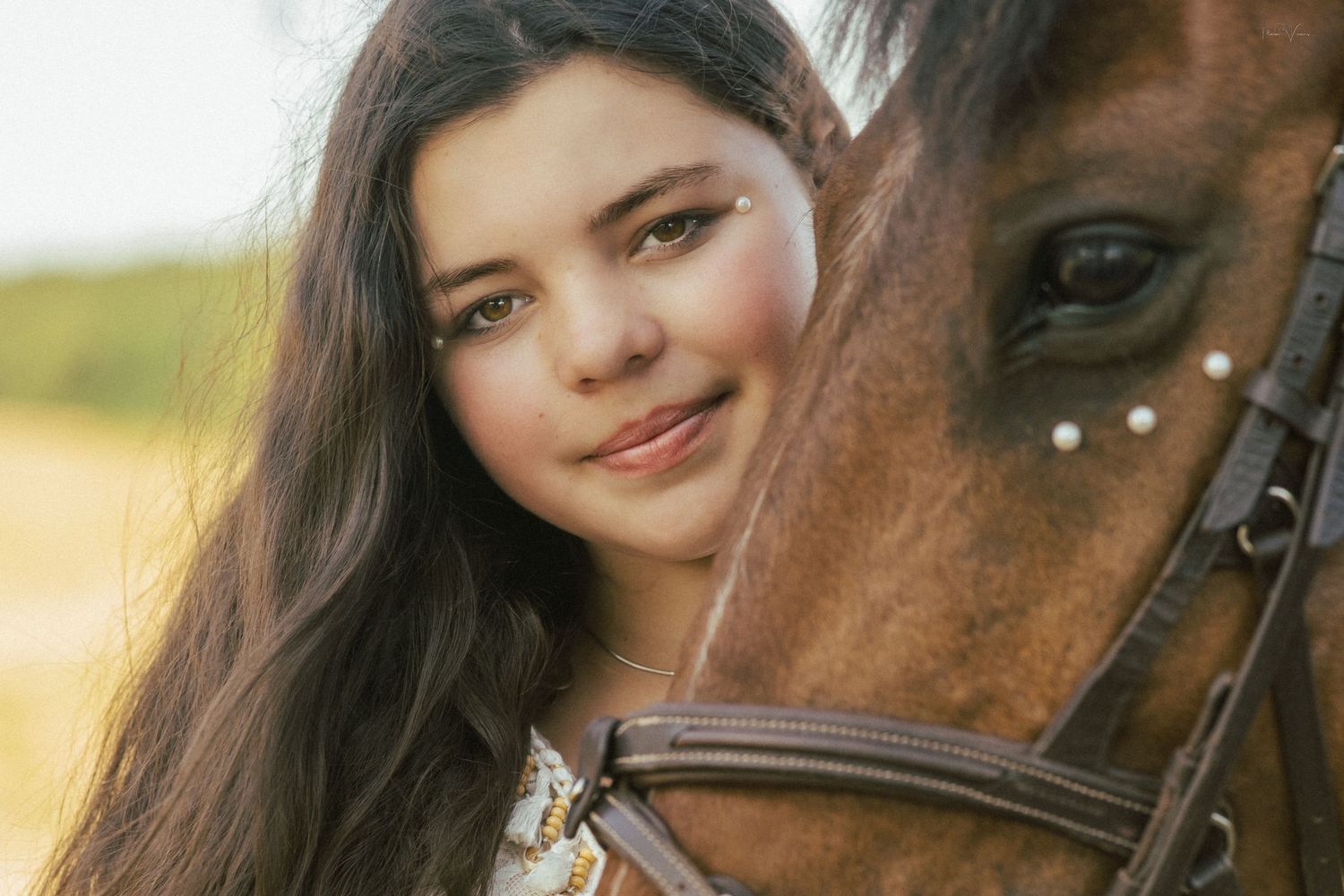 Close-up shot of a brown horse with riding equipment in natural lighting.