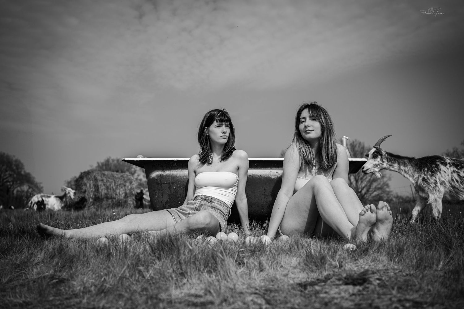 Black and white panoramic shot of people lounging on grass.