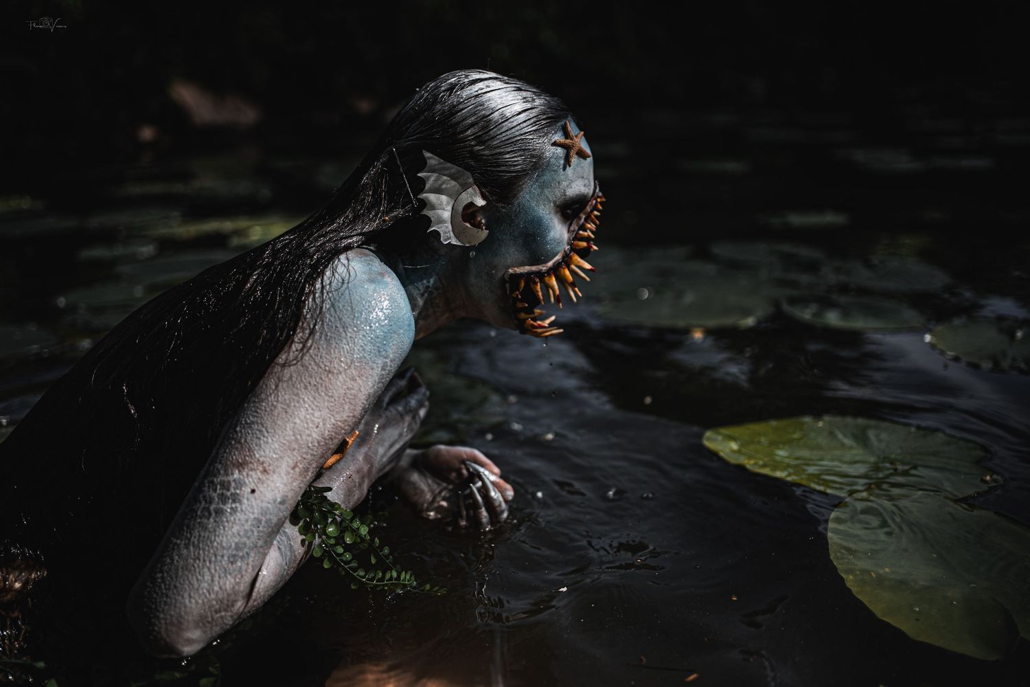 Dark and moody photograph of water lilies floating on a pond surface.