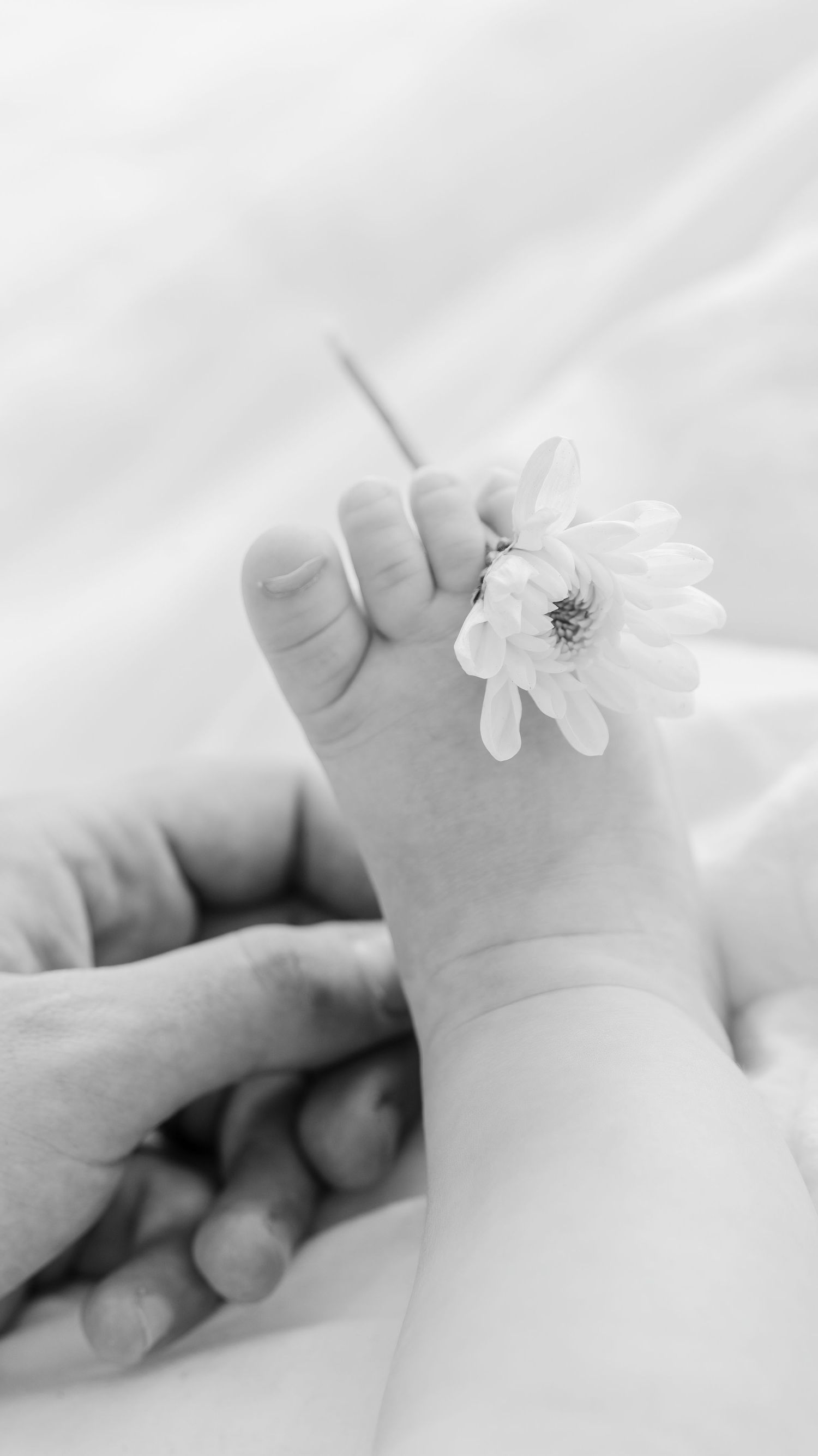 Close-up black and white photograph of tiny baby toes with delicate white flower.