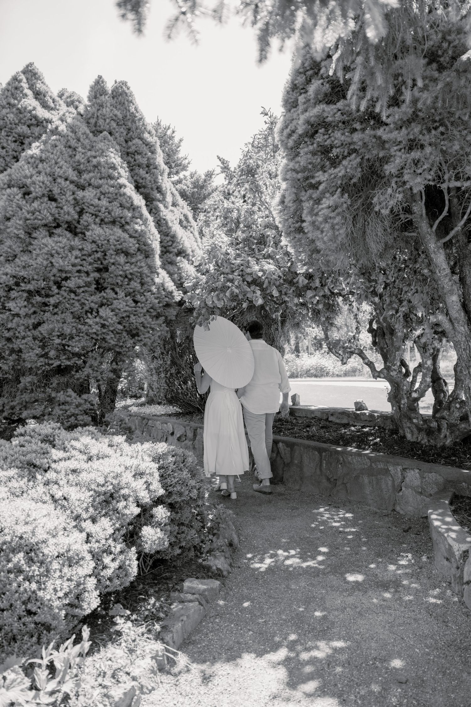 Black and white photography captures a couple's tender moment in a garden setting with scattered flower petals.