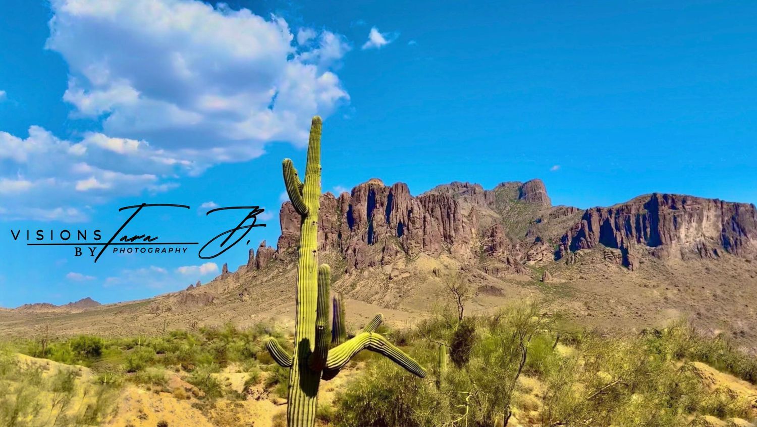 Tall saguaro cactus standing in front of desert mountains beneath a bright blue sky with scattered clouds.