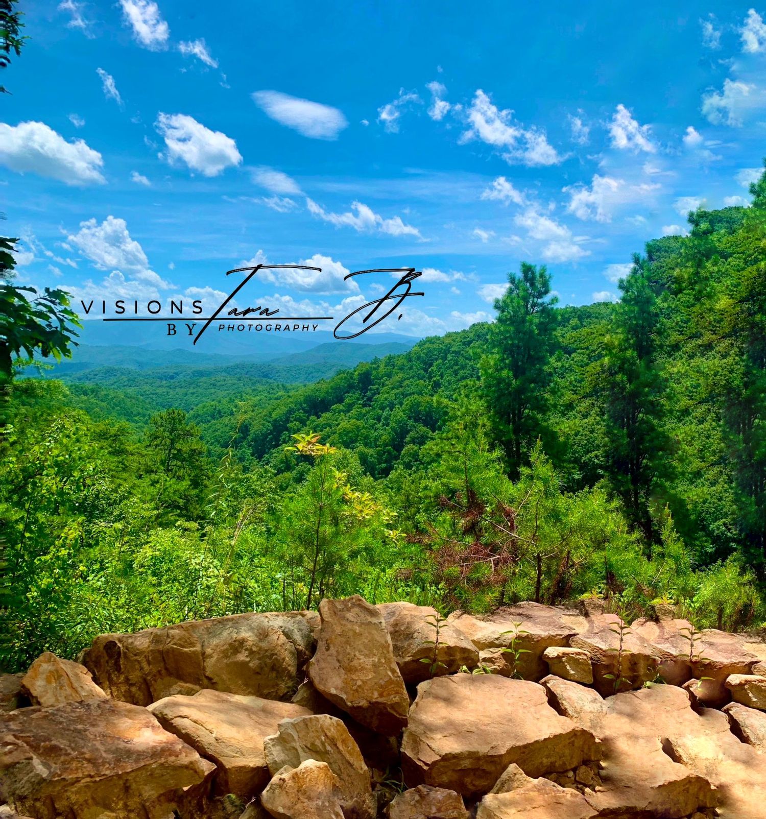 Scenic landscape with bright blue sky, distant snow-capped mountains, and green forest viewed from rocky foreground.