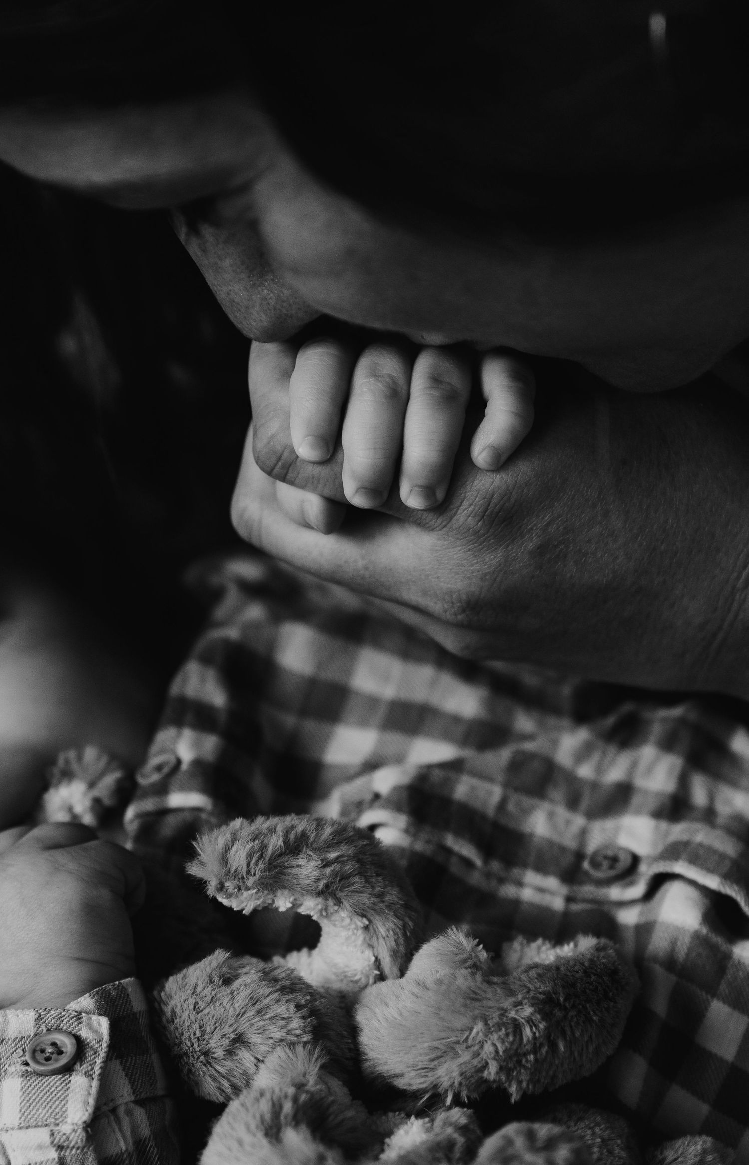 Gros plan noir et blanc, père embrassant la main de son nouveau-né
