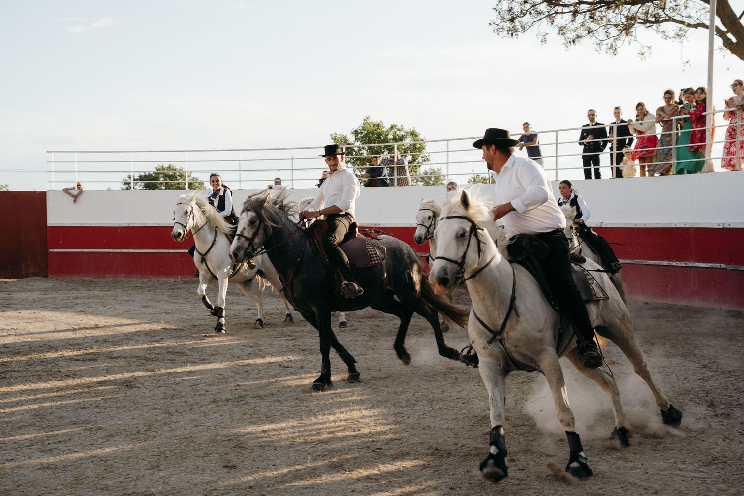 Cavaliers dans une arène, mariage à Arles