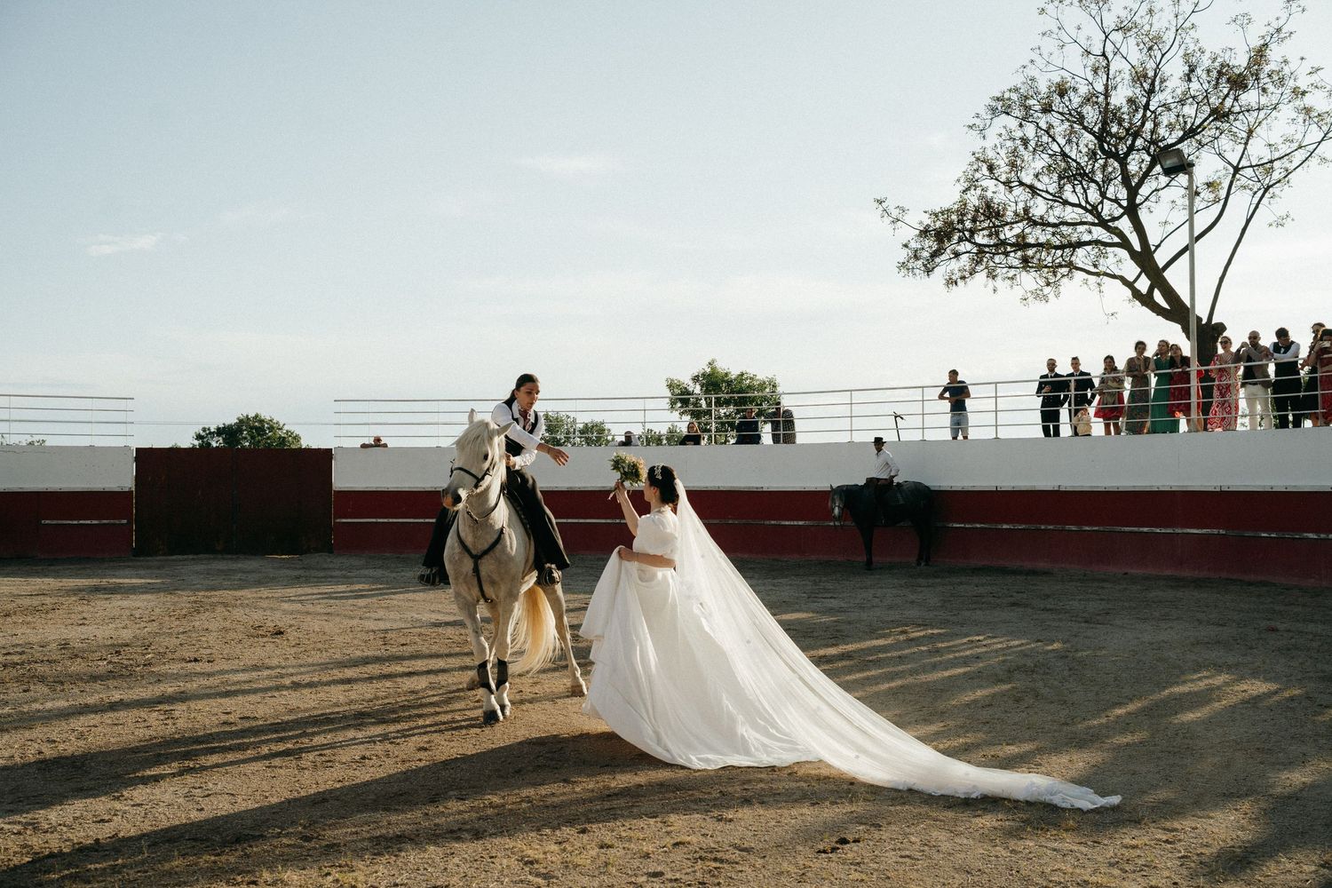 Bride in flowing white gown walking alongside a horse and rider in a sunlit Spanish bullring.
