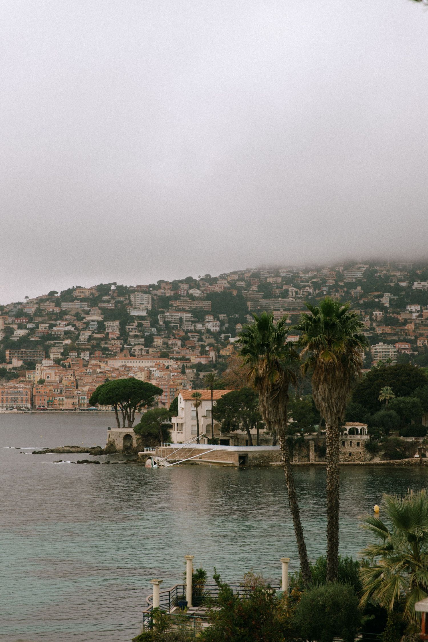 Vue sur une baie avec palmiers