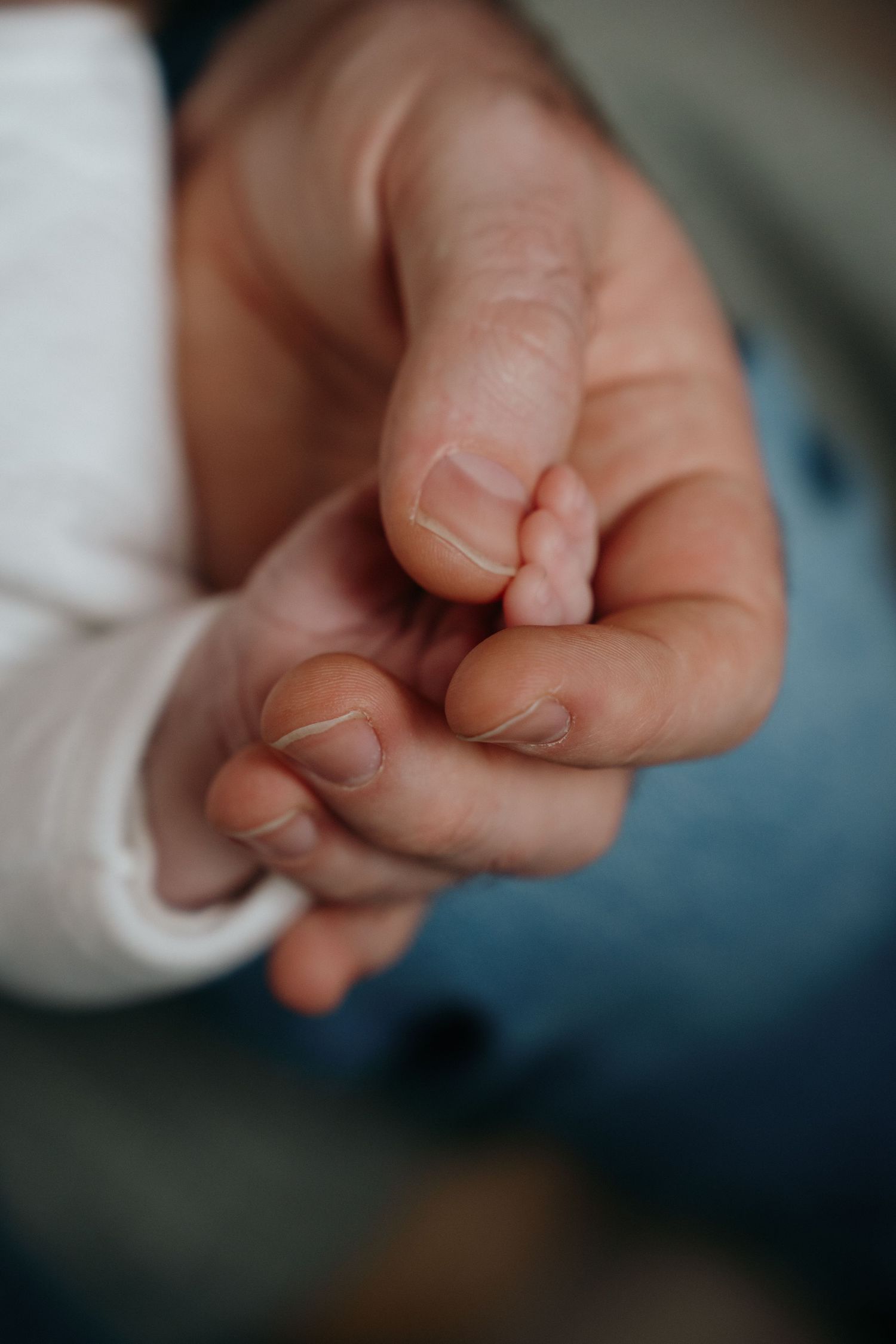 Gros plan sur les petits doigts d'un nouveau-né agrippant celui d'un parent