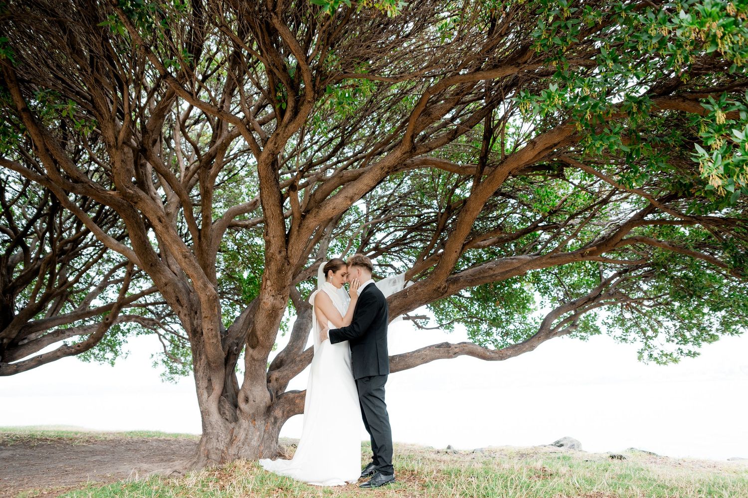 Seattle wedding imagery — Wedding Photographer Myron Malyy