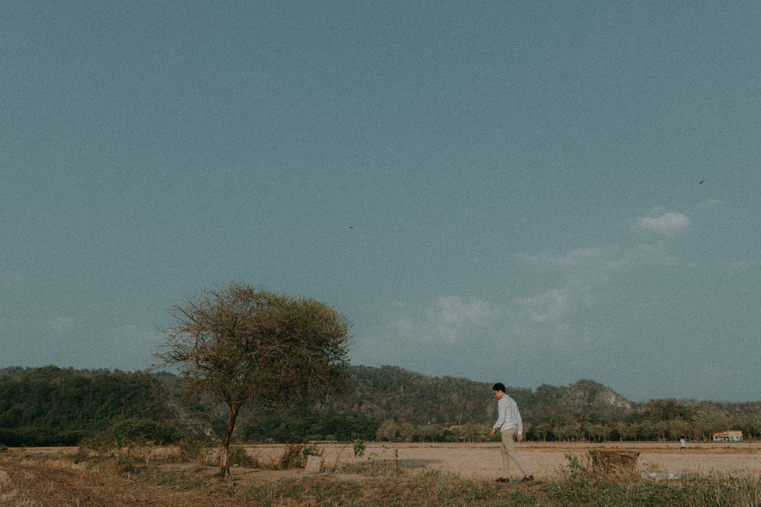 A solitary figure walks through an arid landscape with a lone tree under a turquoise sky.