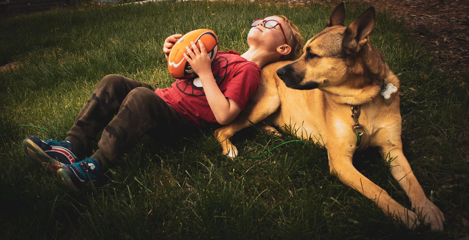 A joyful moment of laughter while lying in the grass with a German Shepherd dog.