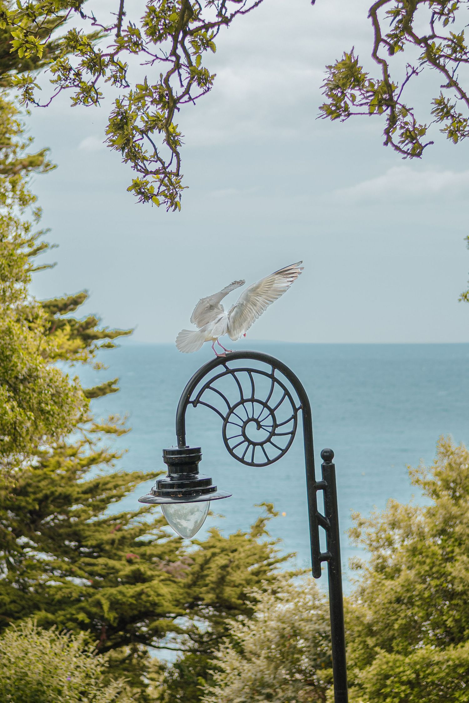 Seagulls flying near a decorative black iron lamp post with spiral design against a blue ocean backdrop.
