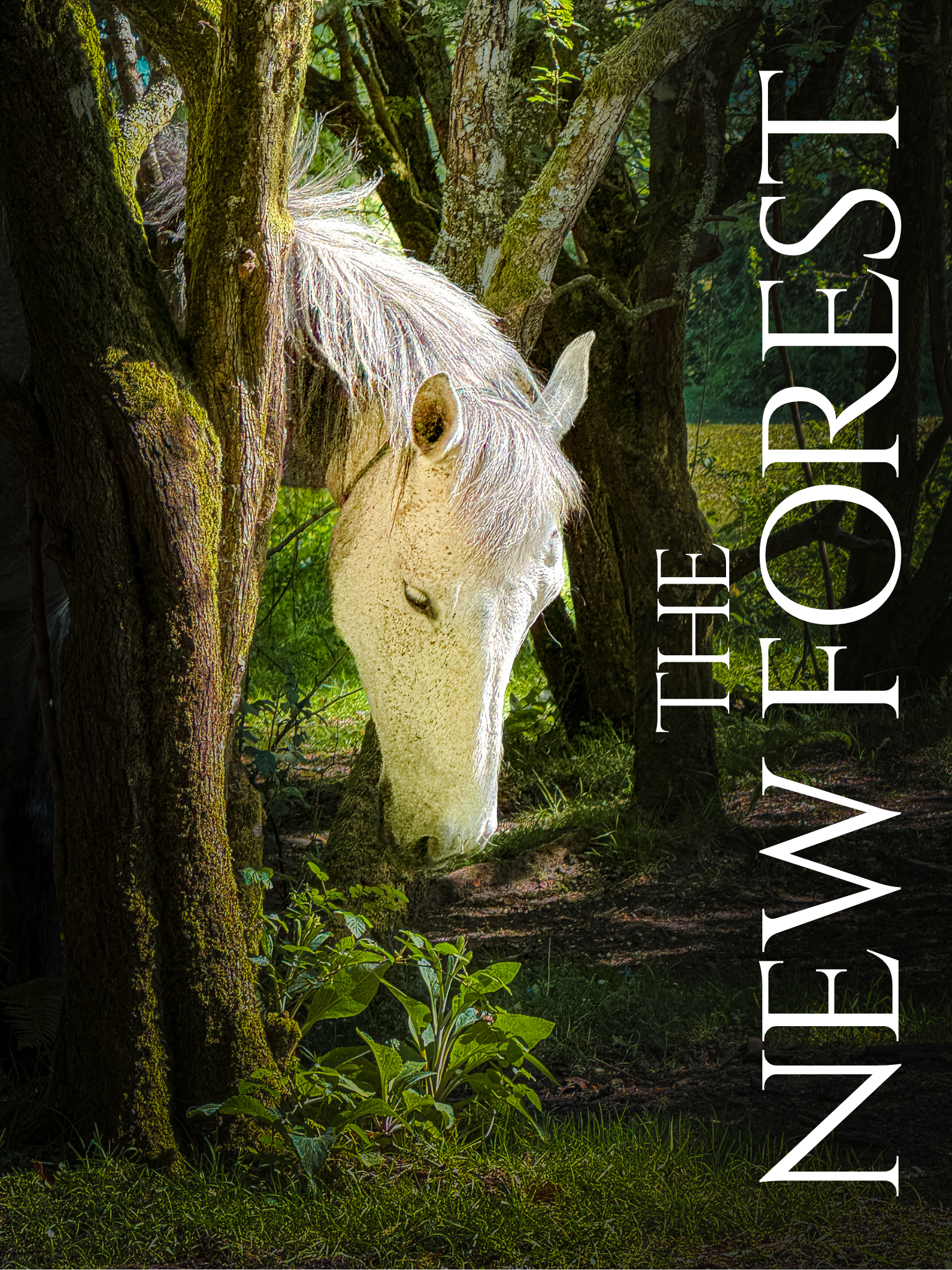Mystical forest scene with ethereal white elements and text overlays in dark woodland setting.