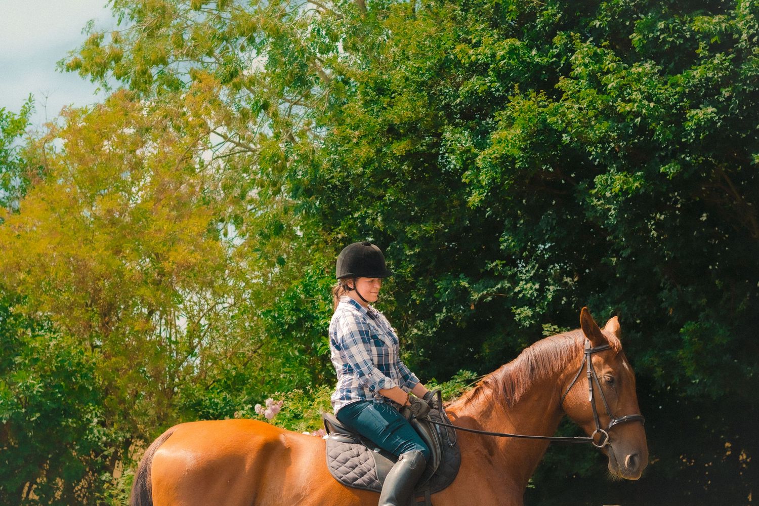 Horse and rider training session in an autumn setting with golden foliage.