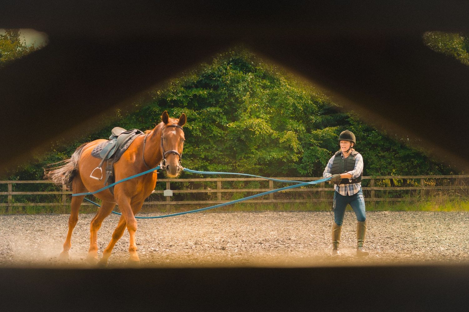 A chestnut horse training in an indoor arena with instructor.