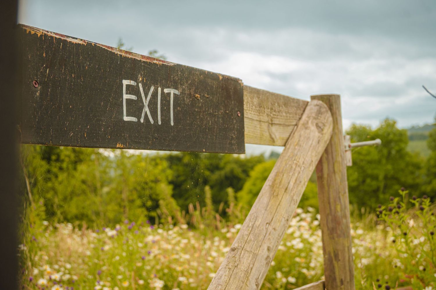 Wooden exit sign post in a rural field with wildflowers.