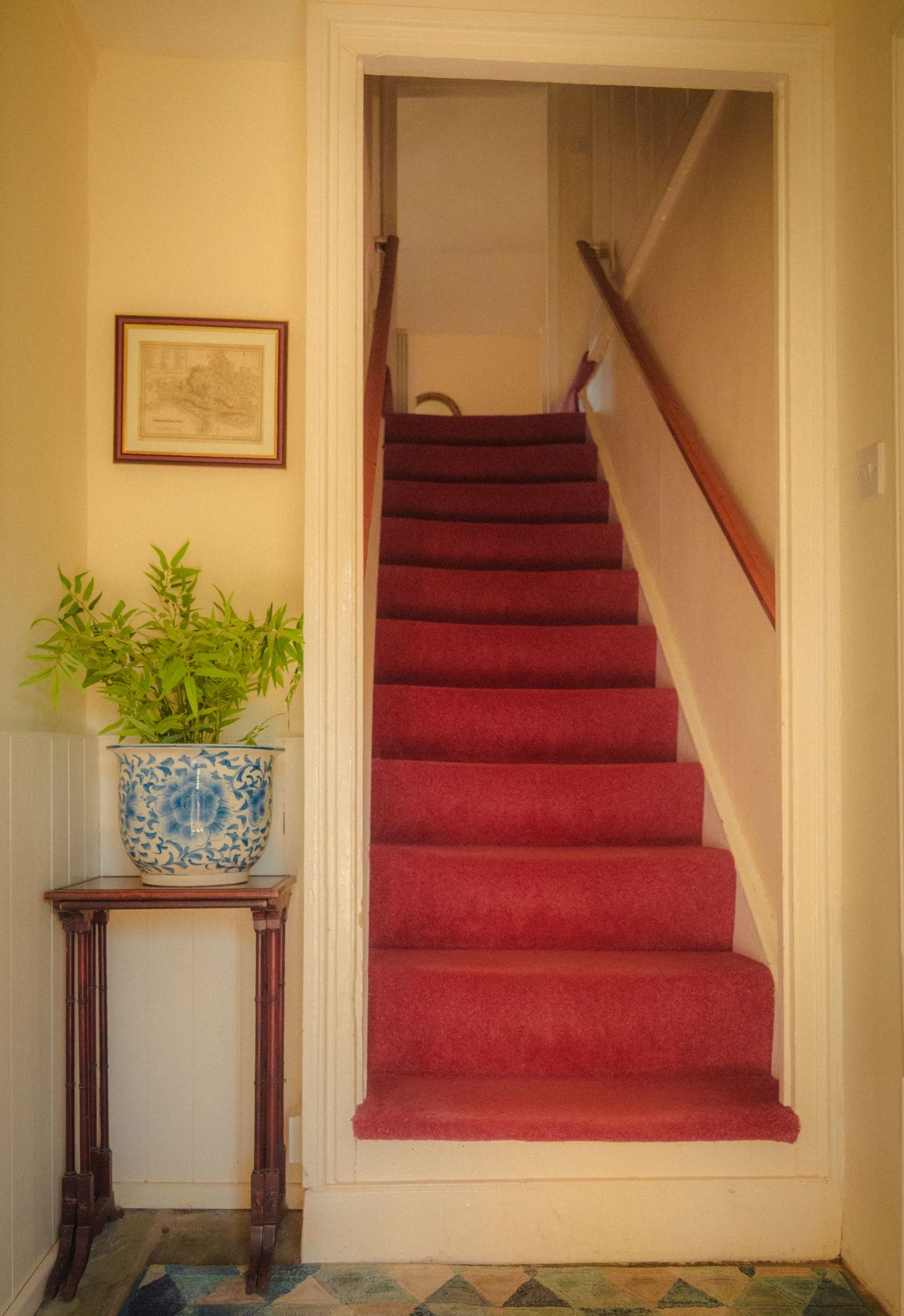 Red carpeted staircase with white walls and decorative plants on side tables.