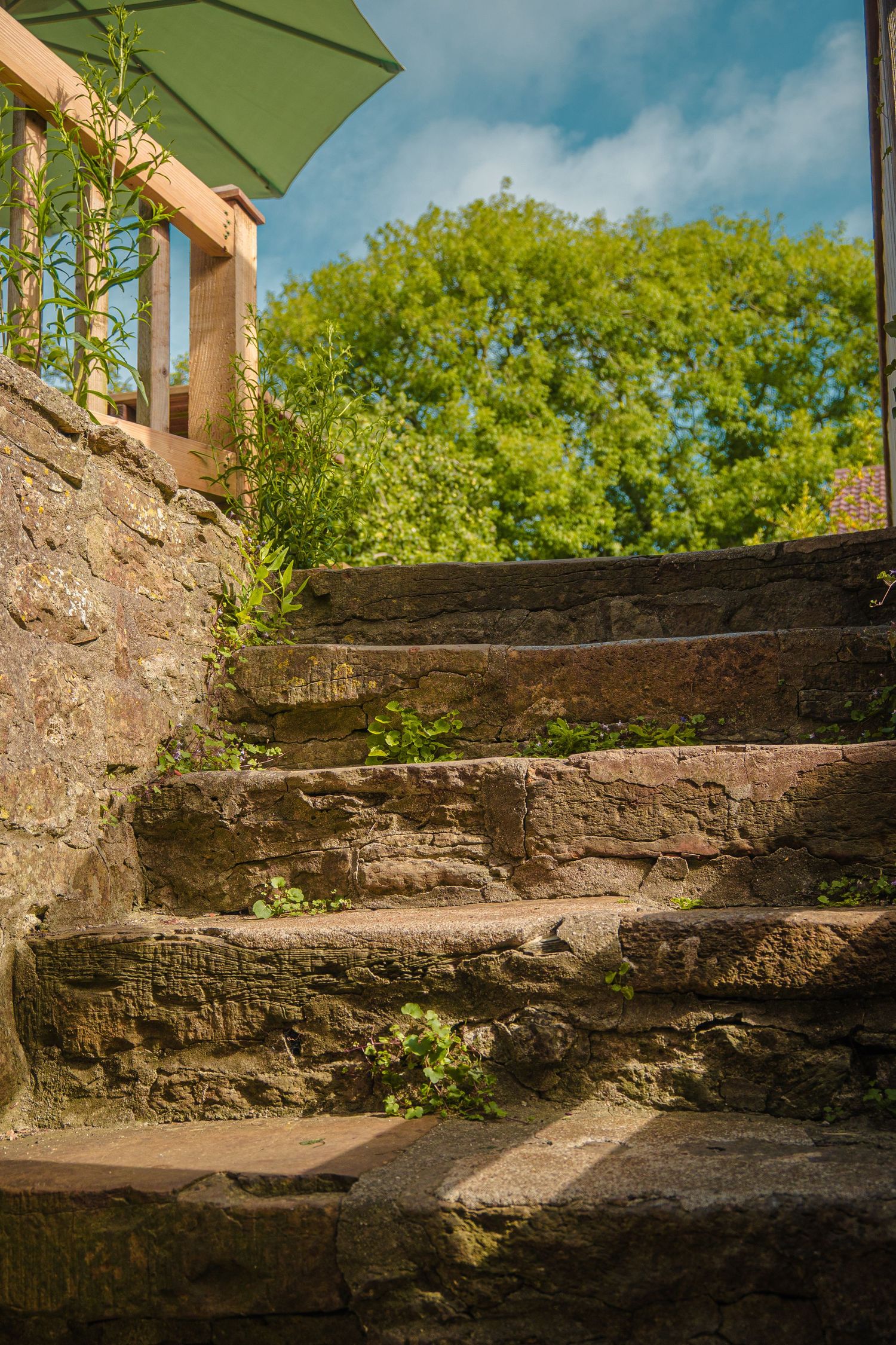 Stone steps leading upward with green foliage visible in background.