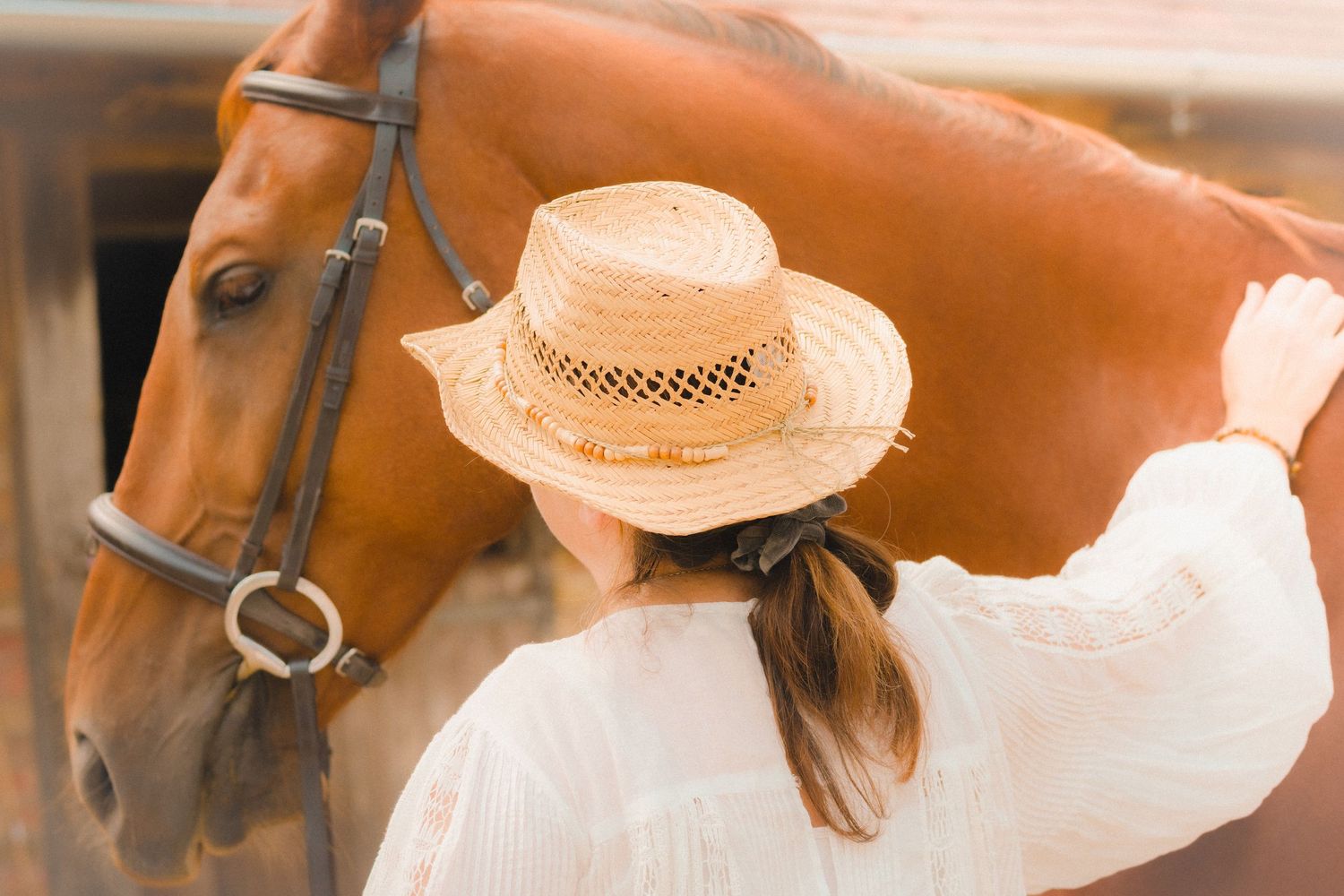 Close-up of a brown horse's profile with someone wearing a straw hat and white dress.