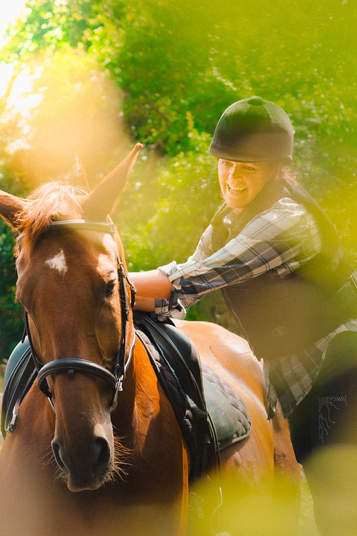 Horse wearing riding equipment photographed through golden sunlit foliage.