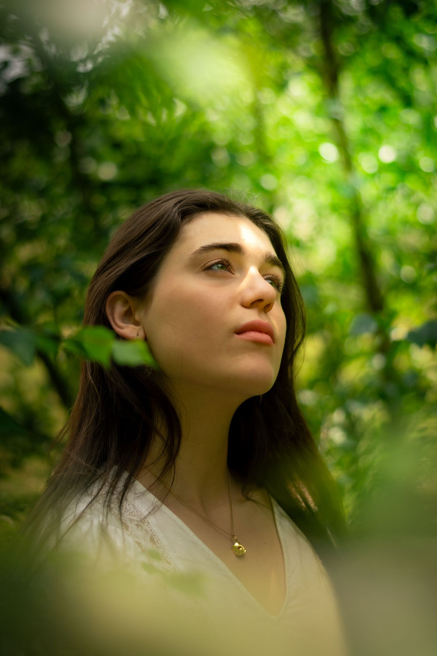 A dreamy upward gaze through green foliage in natural sunlight creates an ethereal mood.