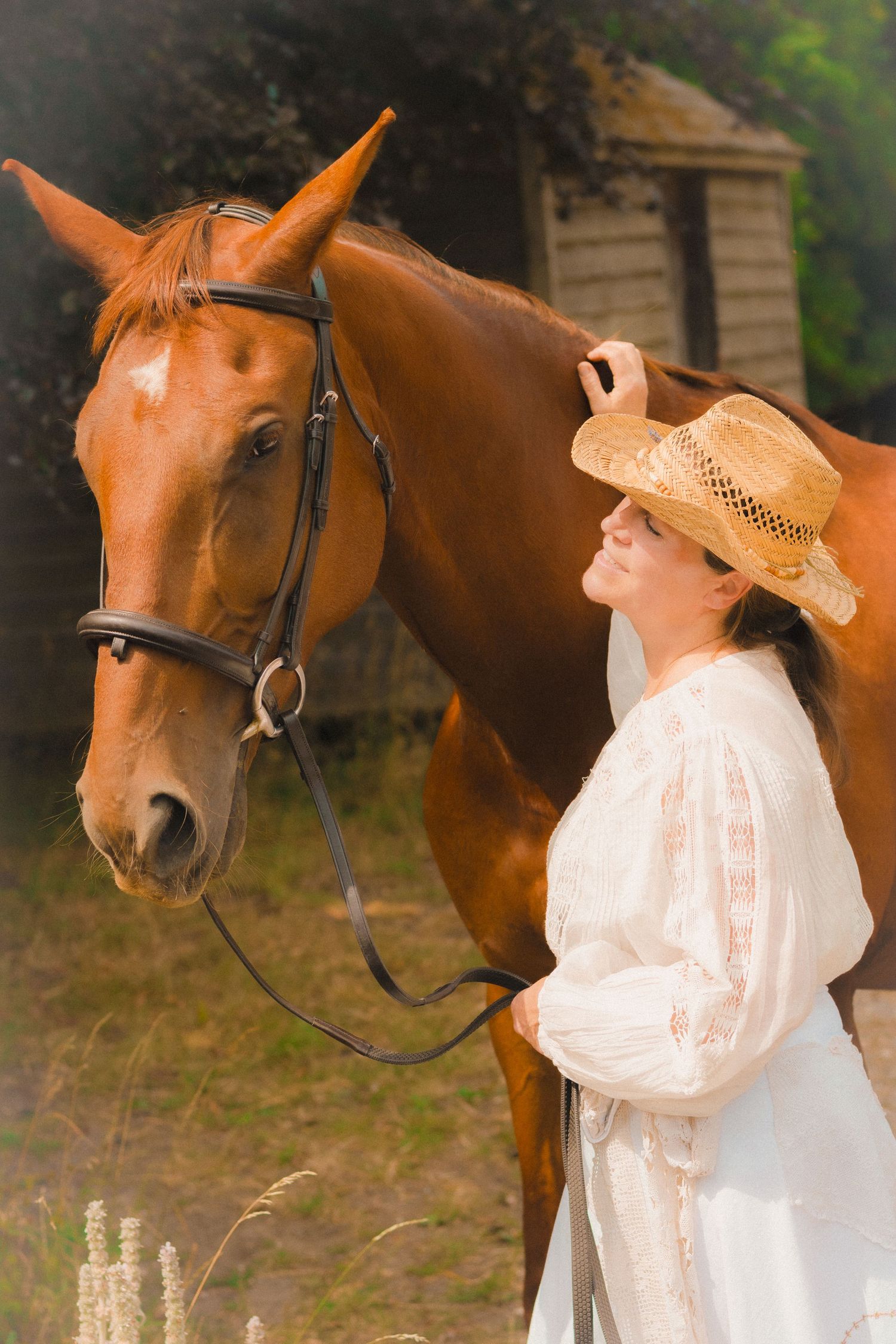 A chestnut horse stands outdoors with someone wearing a vintage-style dress and sun hat.