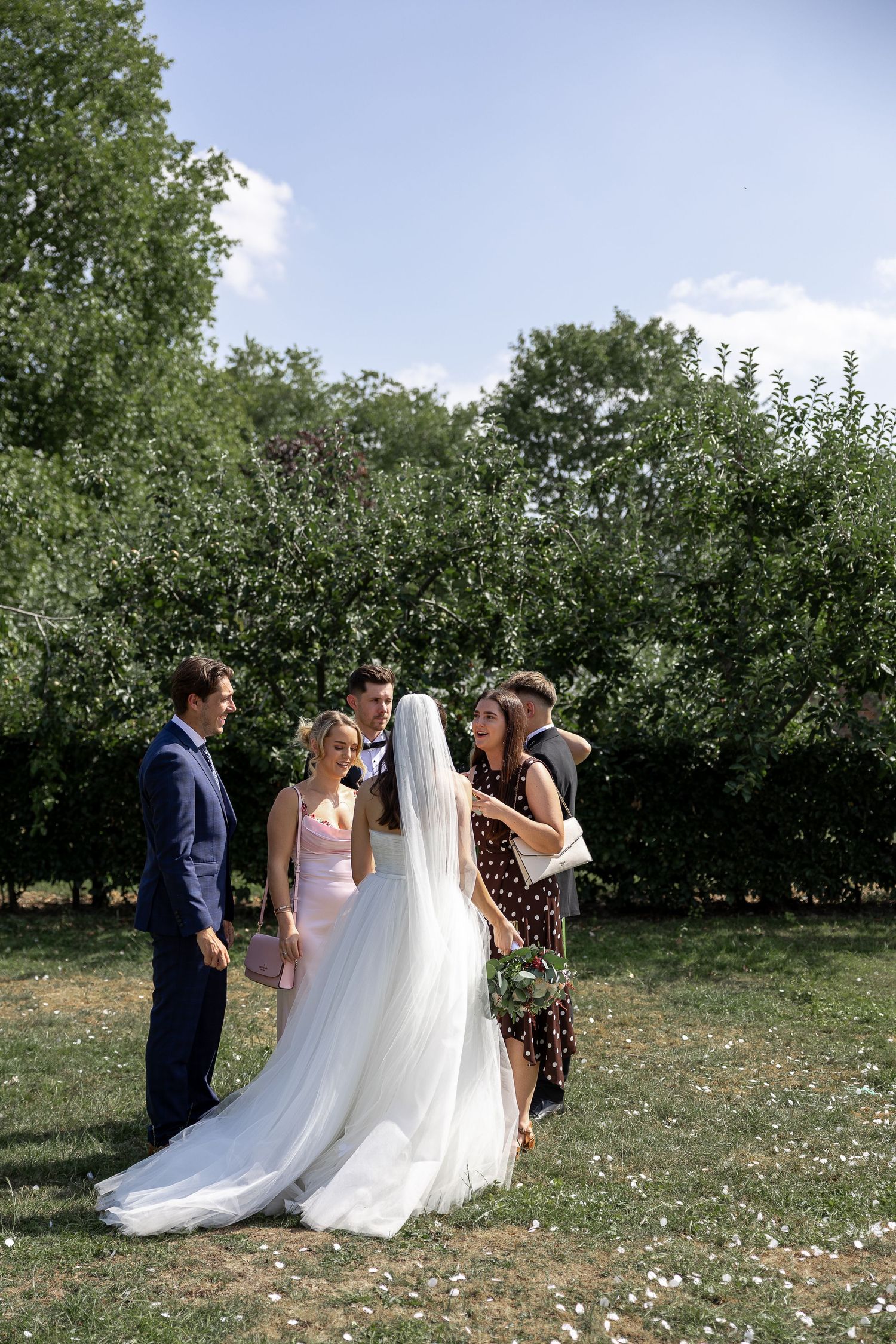 Wedding party gathers on sunny lawn for outdoor photography session.