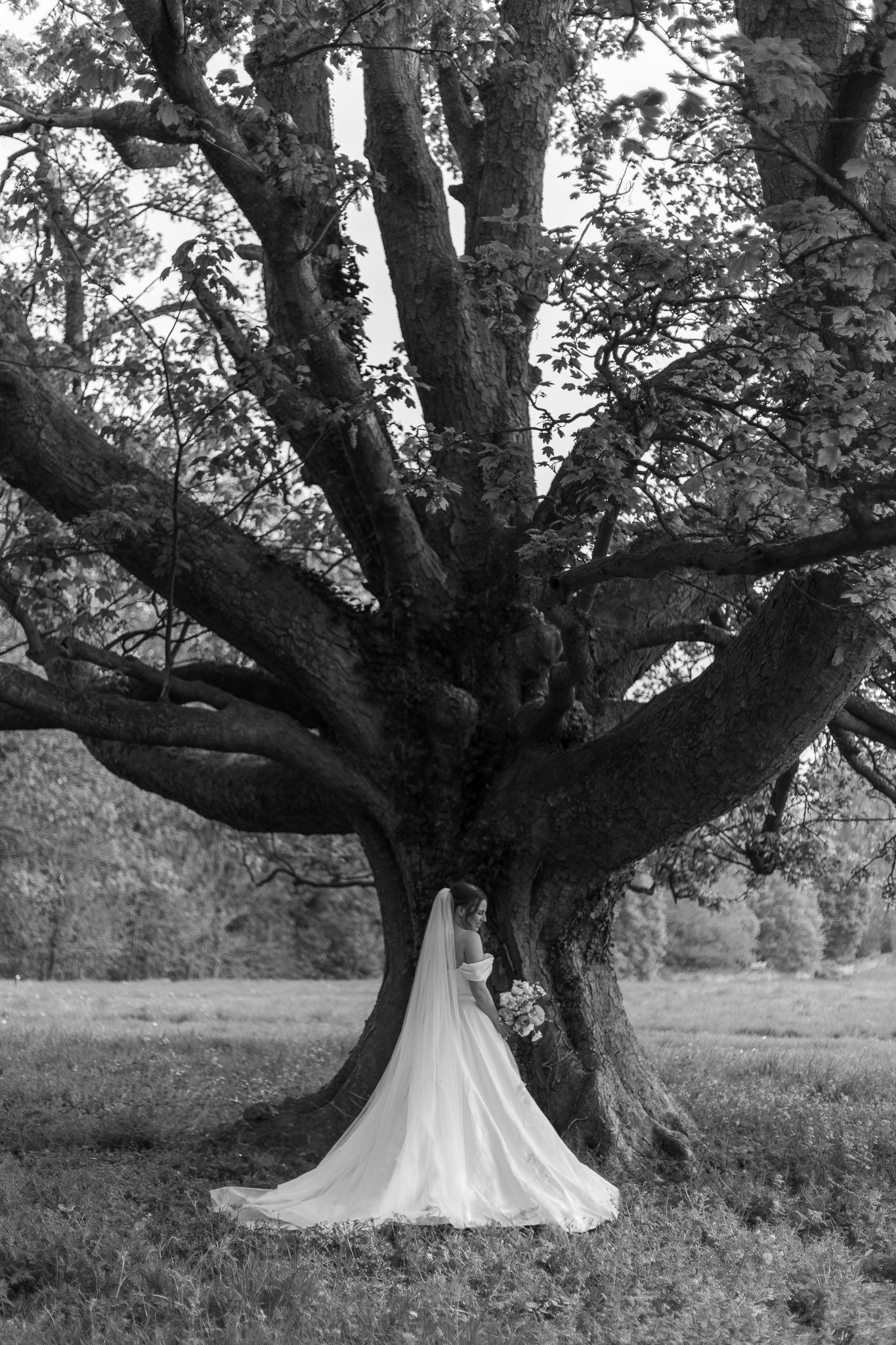 A dramatic black and white wedding photo featuring a bride beneath a majestic old tree.