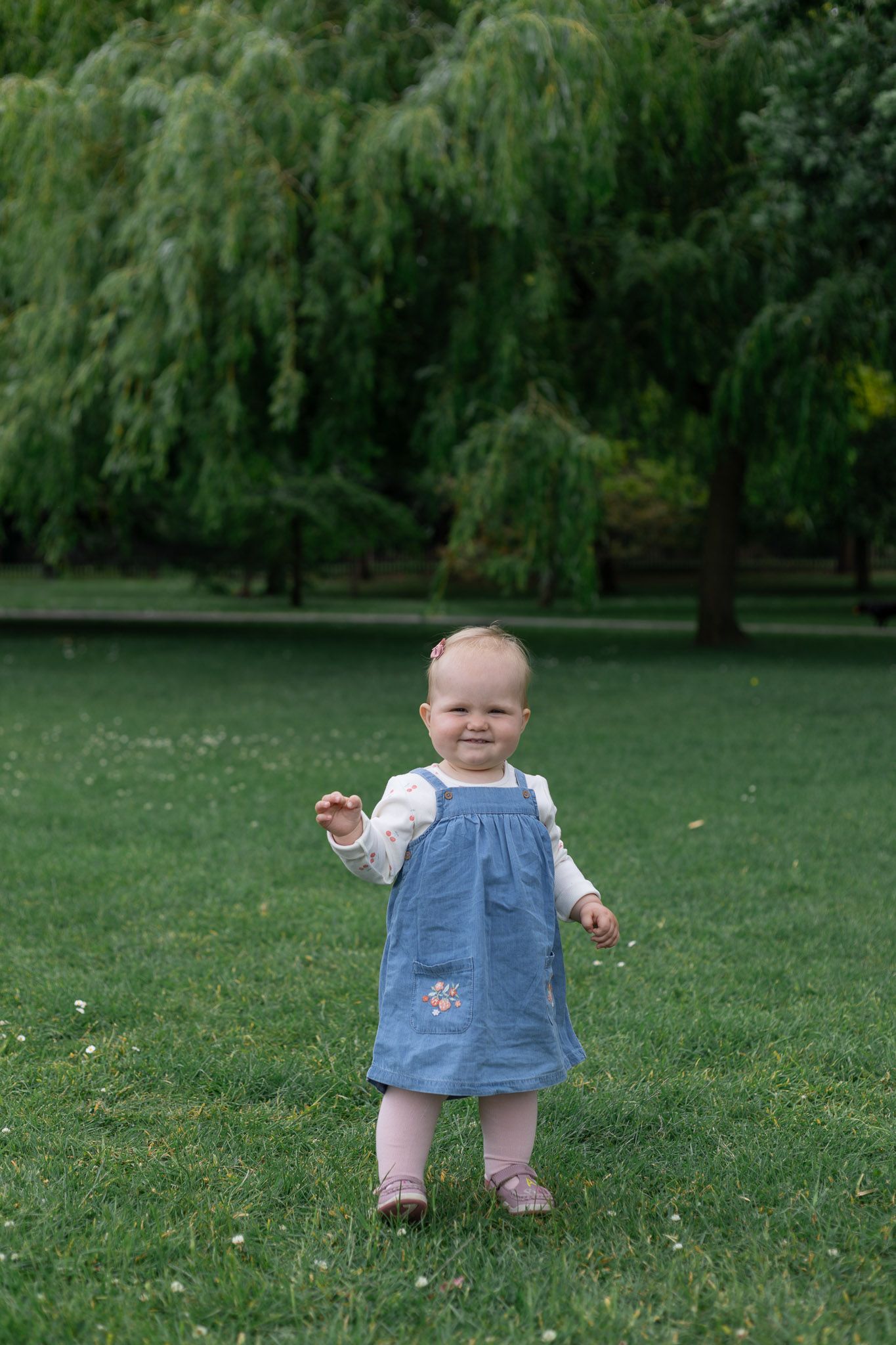 Baby in blue dress crawls on green grass during outdoor photo session.