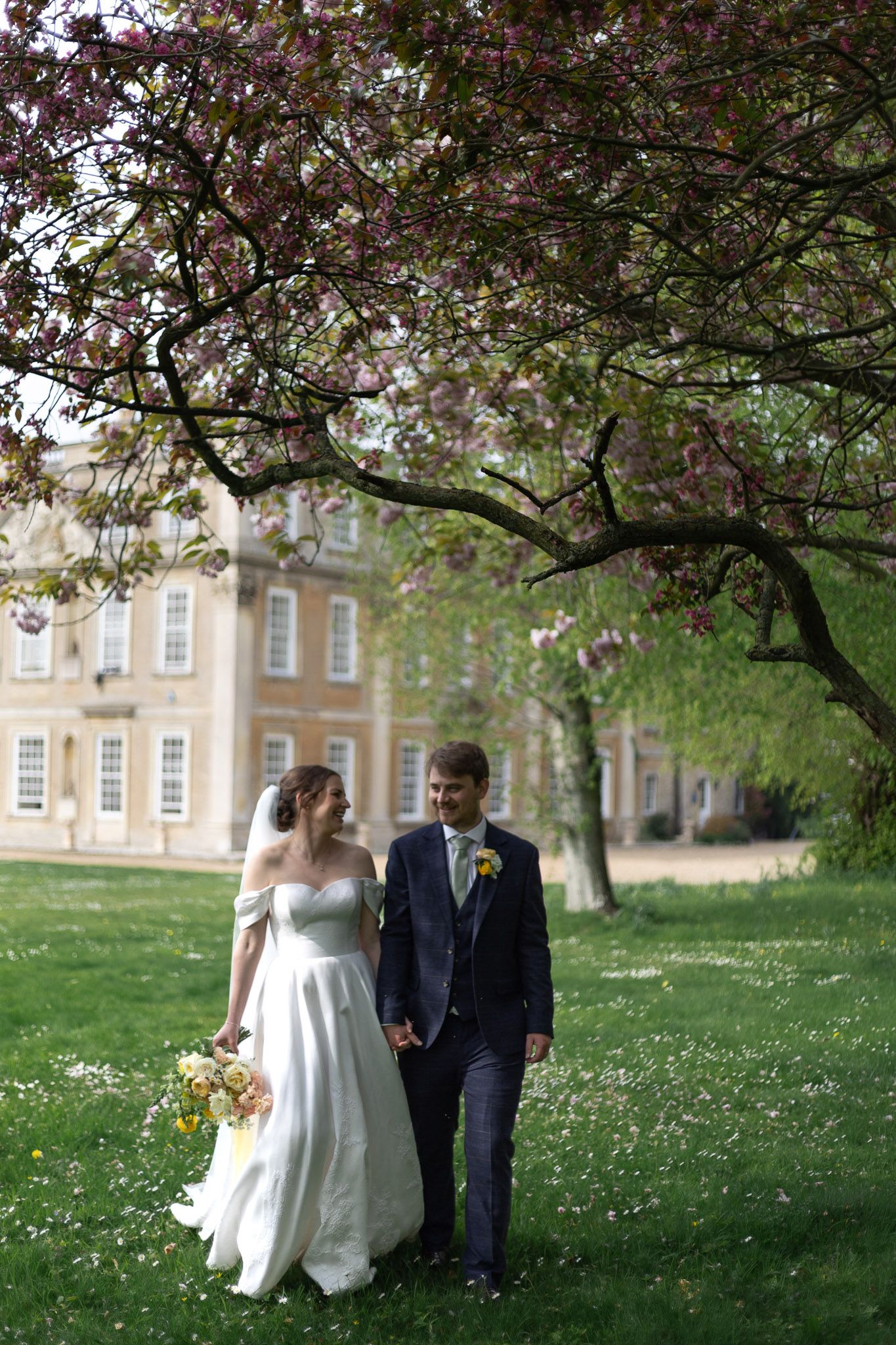 A wedding couple walks under blooming cherry blossom trees on a grassy lawn near a historic building.