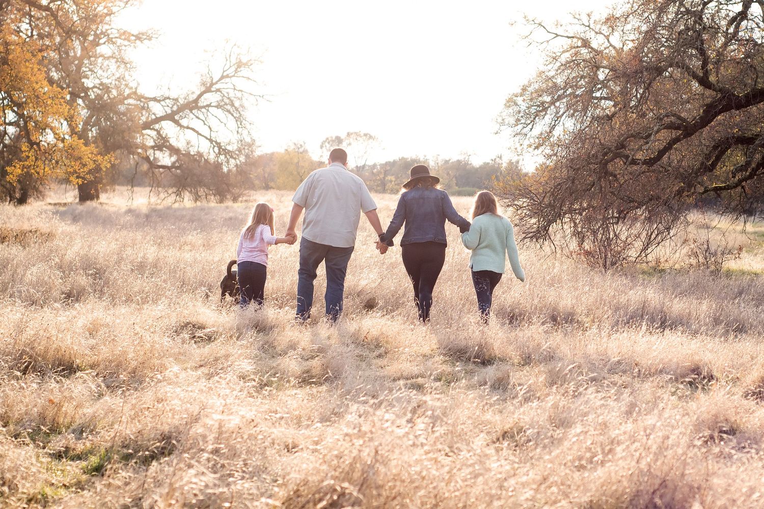 People holding hands while walking together through a golden sunlit field with bare autumn trees in the background.