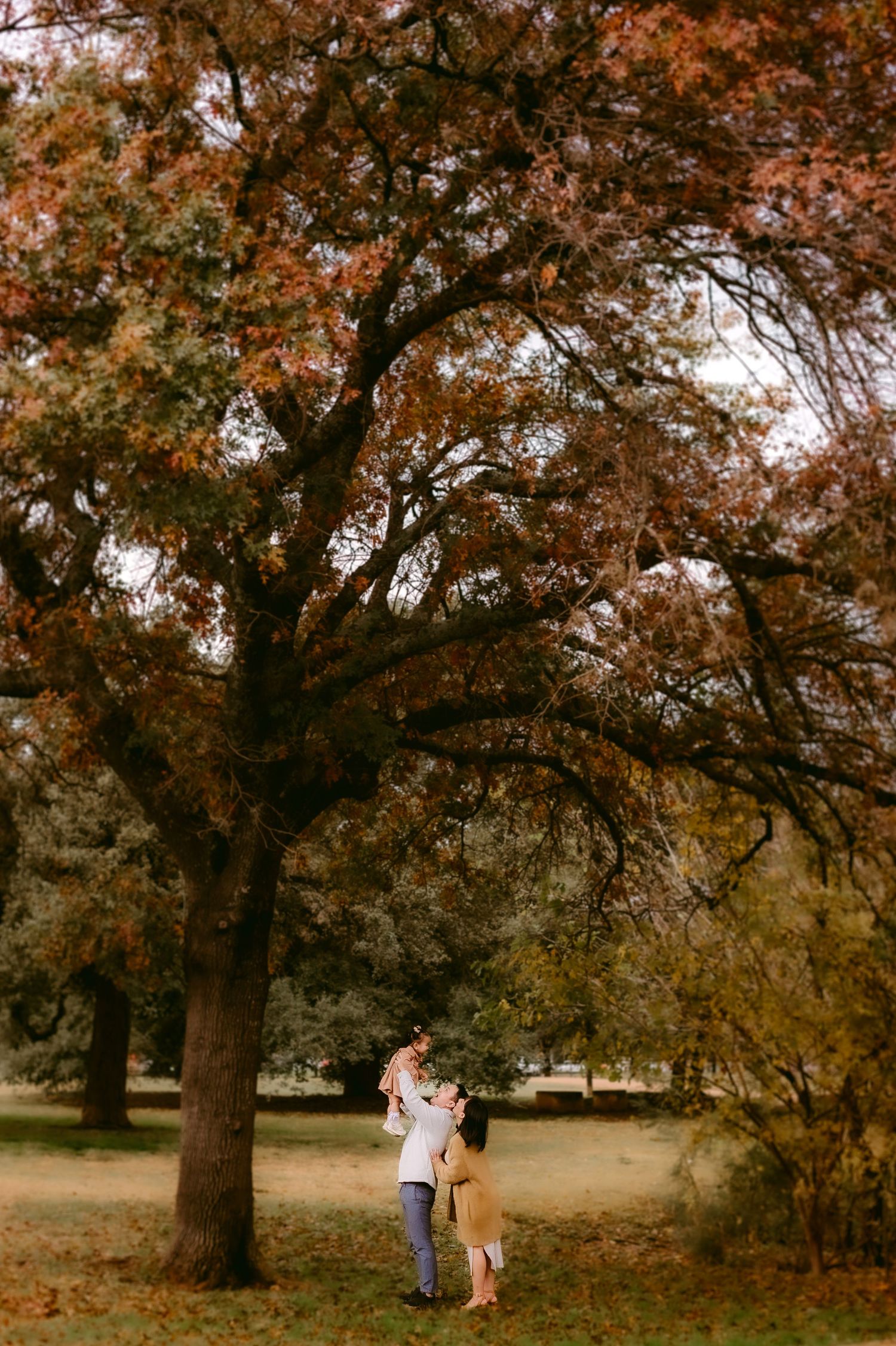 A tender family moment captured beneath autumn trees with golden leaves.