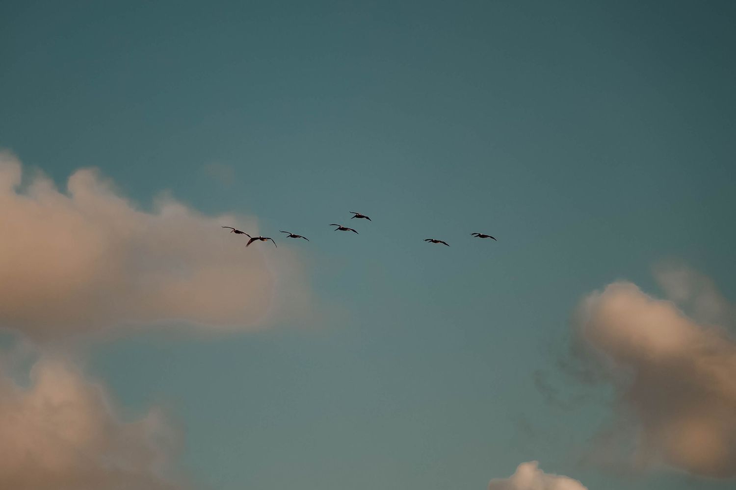 Travel Photographer Casandra Nicole Photography based out of north Dallas Texas; Landscape photography, Galveston TX, Hotels and Hospitality