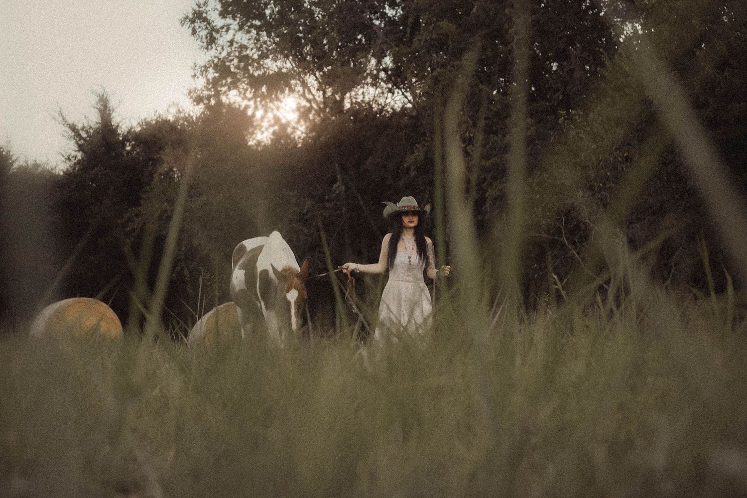 Bonham TX photographer Casandra Nicole captures outdoor horse pet photography in Bonham Texas