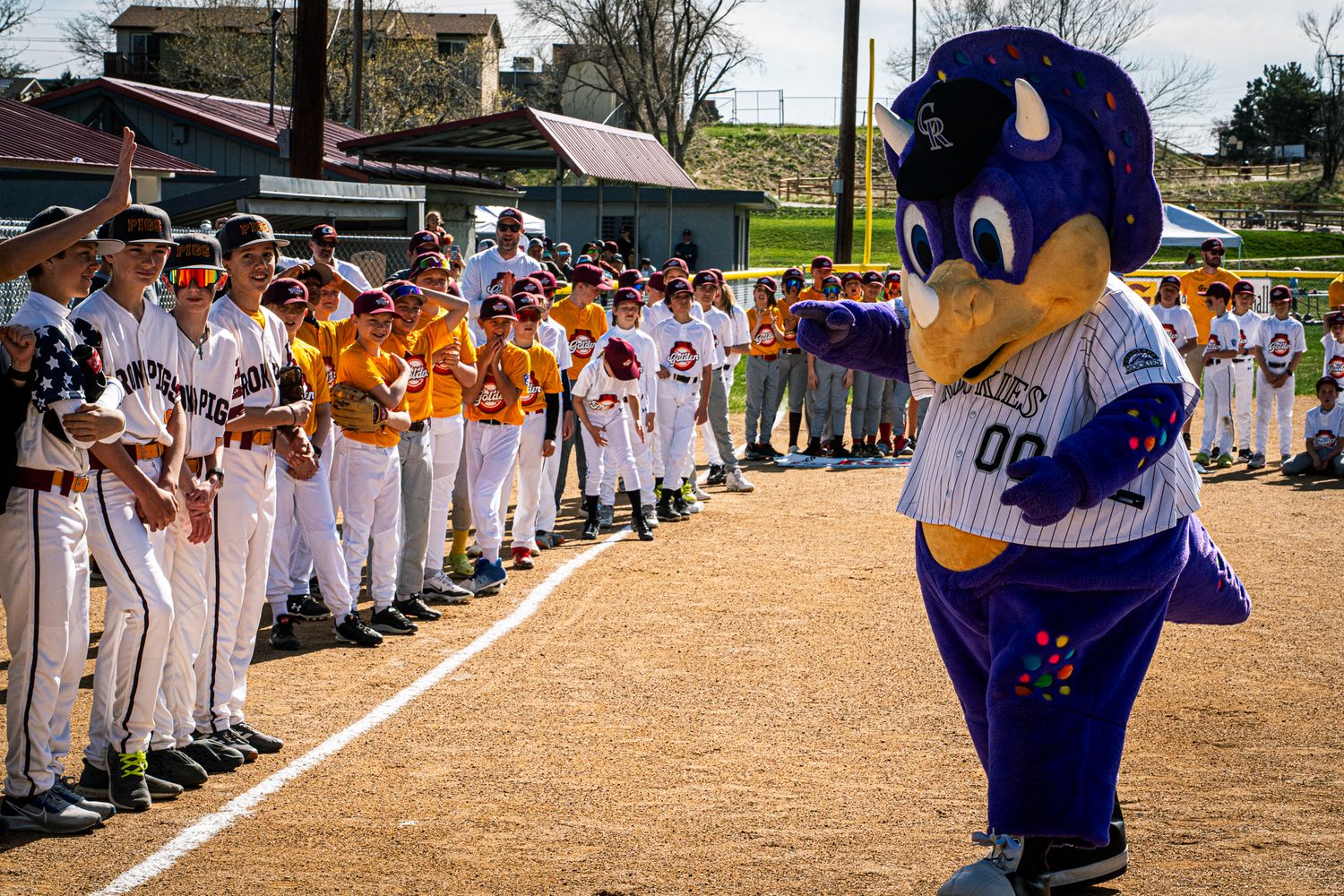 Baseball players and mascot stand along baseline during pre-game ceremony at outdoor baseball field.