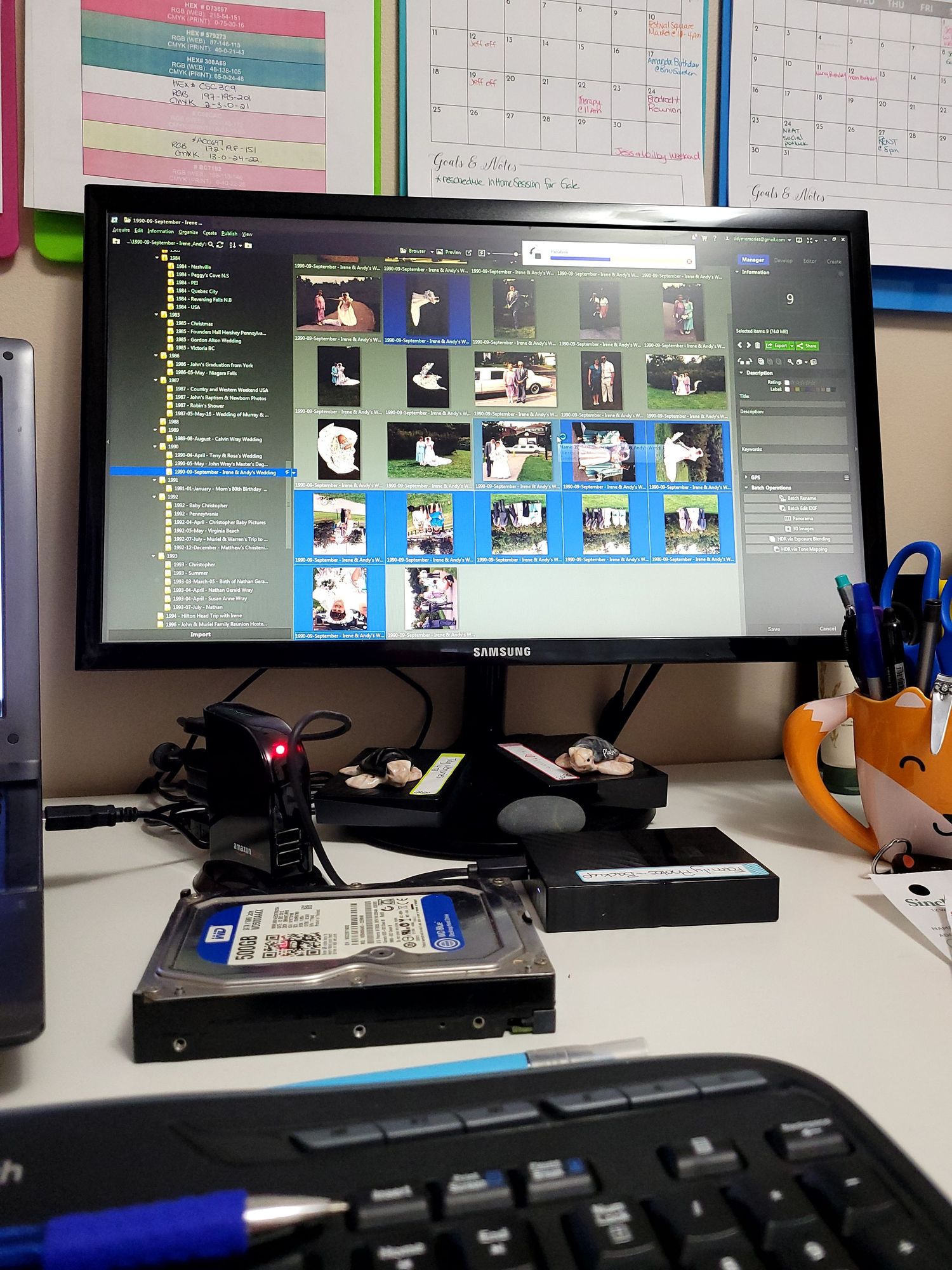 Computer showing organizing photo