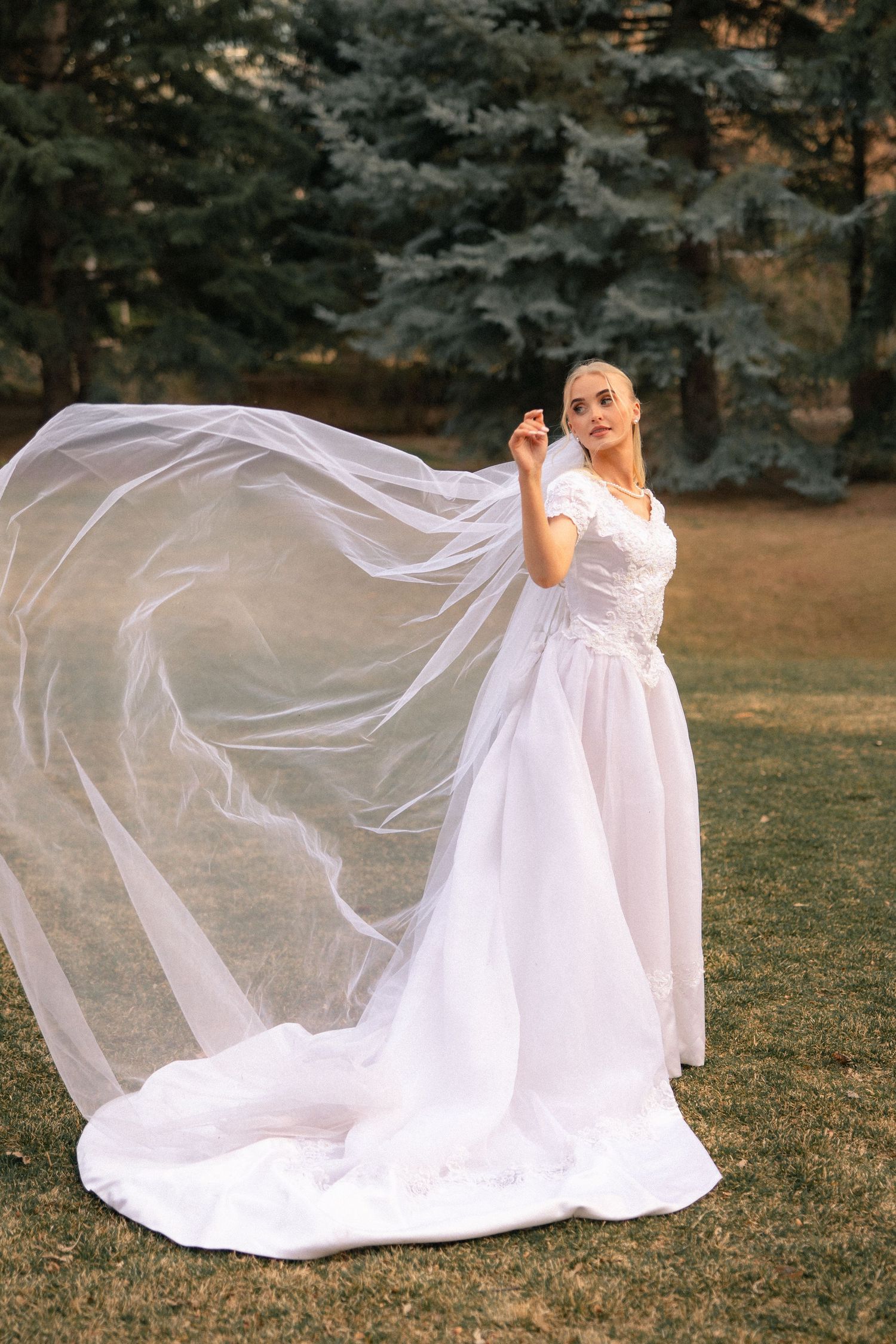 Bride in white wedding gown with flowing veil caught in wind, standing outdoors in green park with evergreen trees.