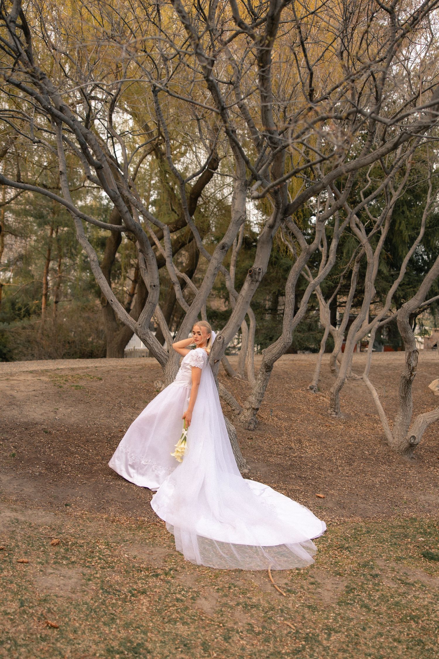 Bride in flowing white gown twirling among bare trees in an outdoor park setting on her wedding day.