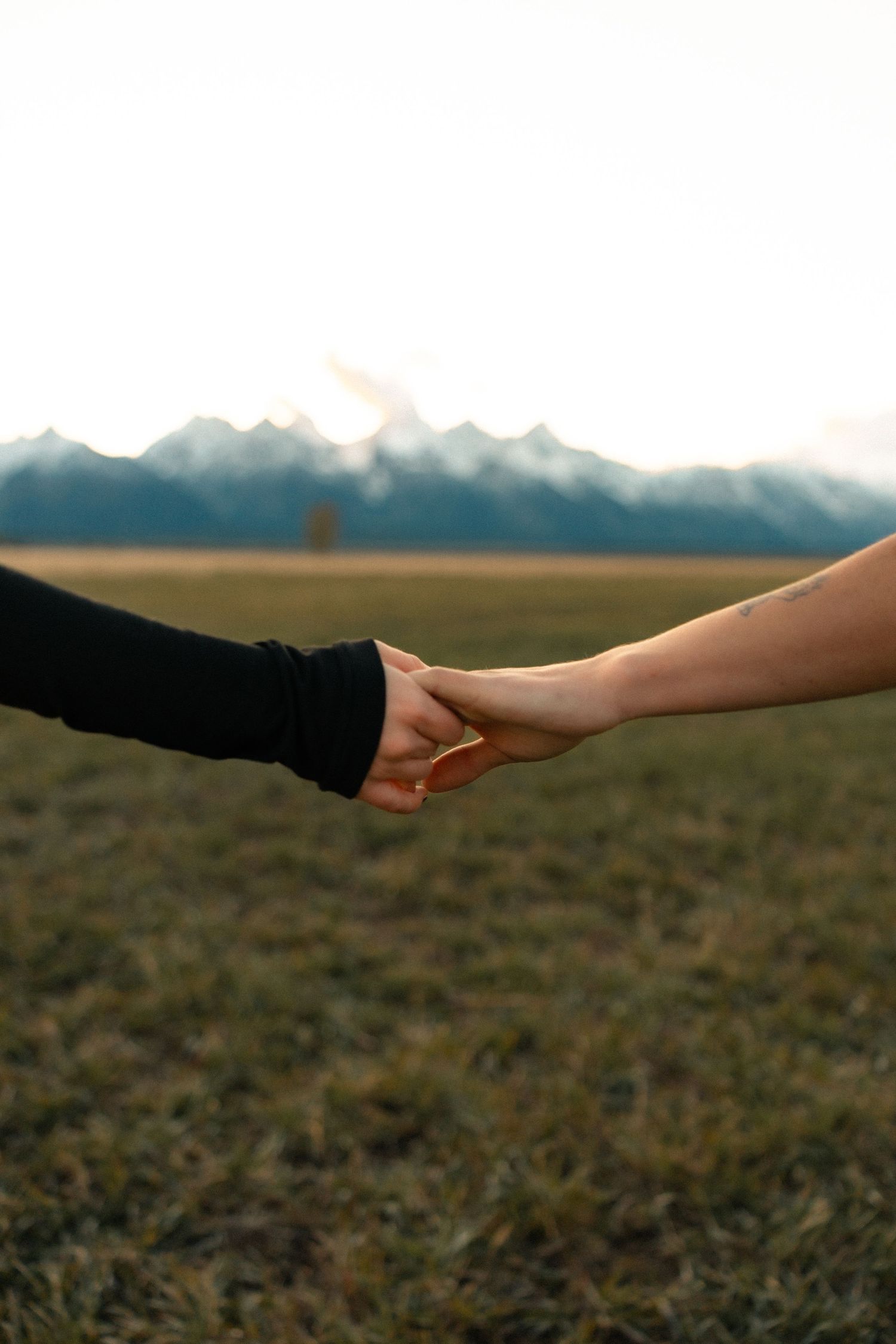 Two people holding hands in a field with snow-capped mountains in the background.