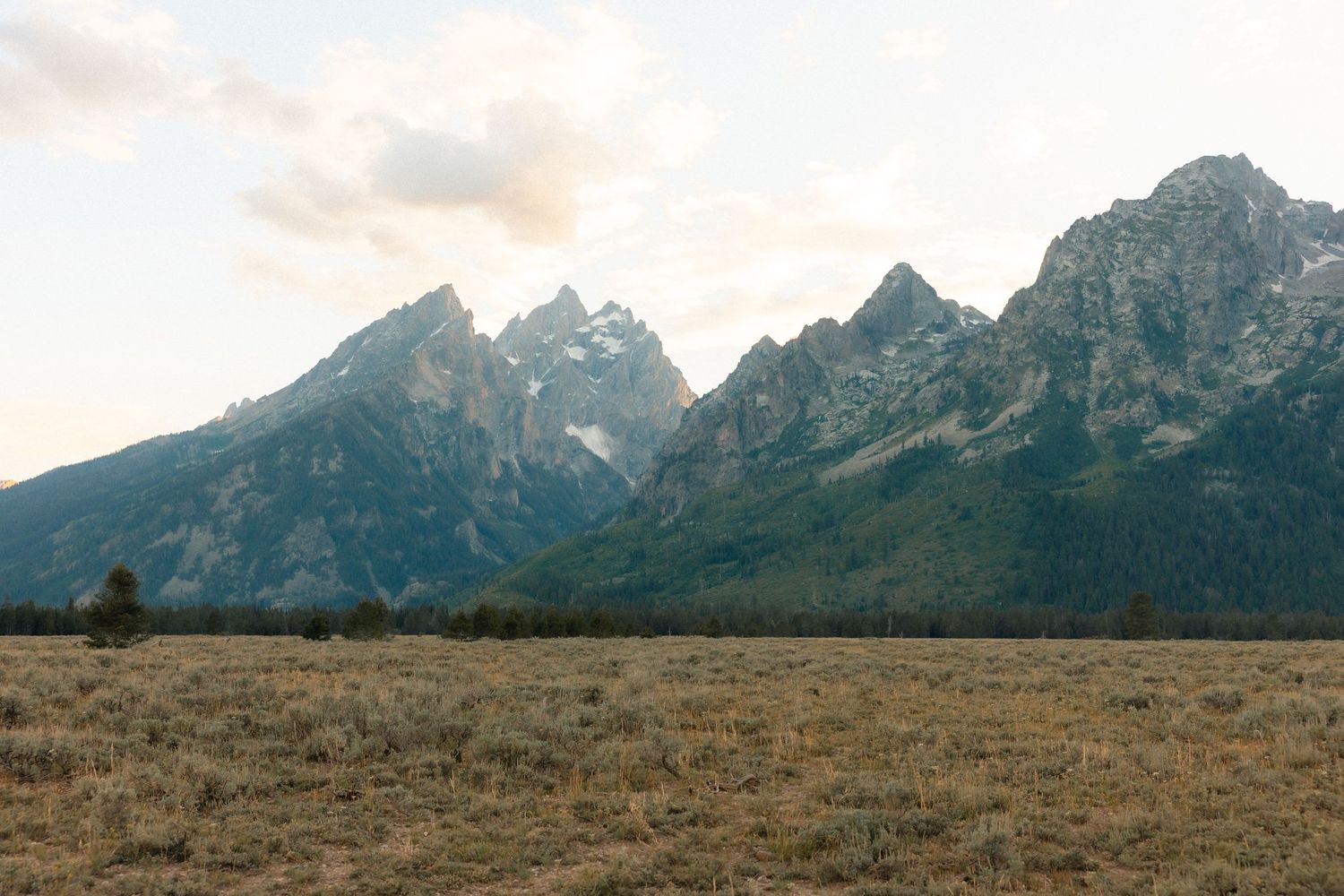 Panoramic view of the rugged Grand Teton mountain range rising above a golden meadow under a soft cloudy sky.