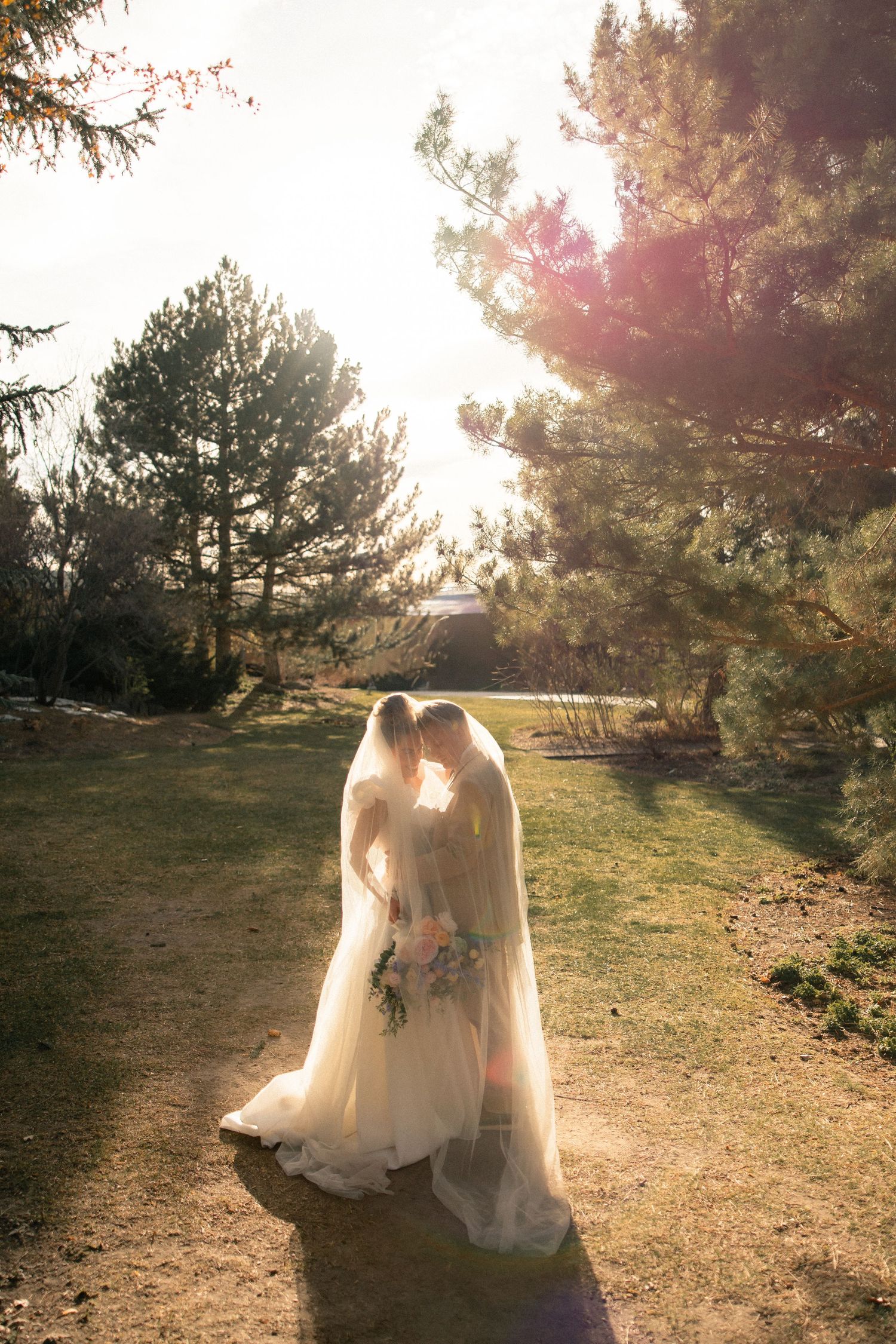 Two brides in white gowns and veils share a romantic moment in a sunlit garden surrounded by tall pine trees.